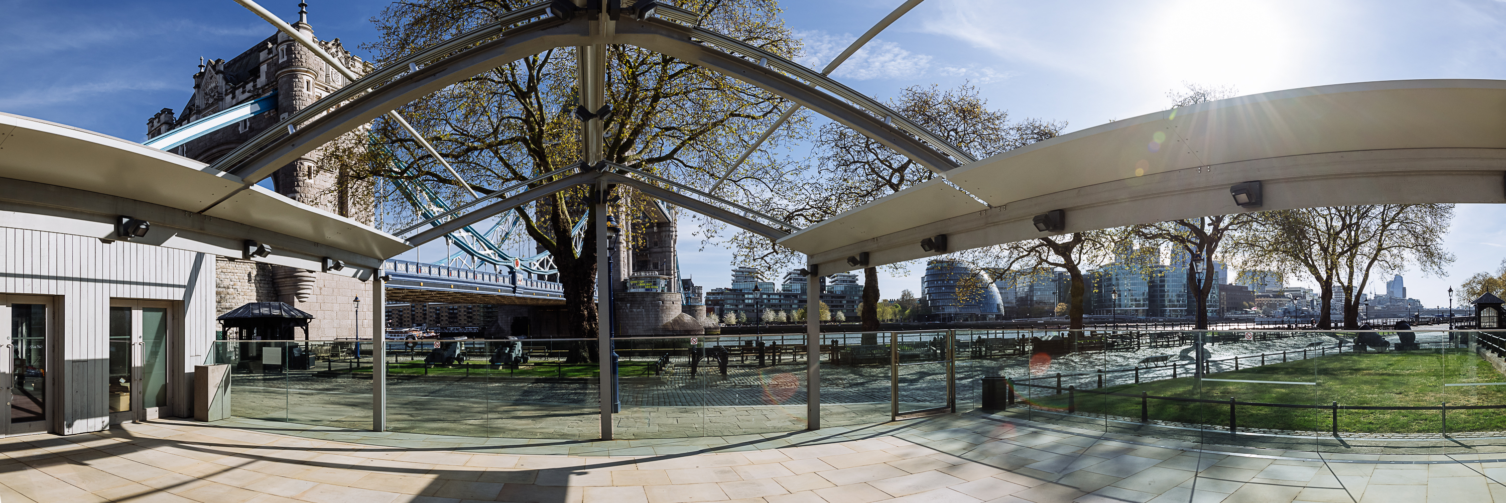 The Reveller - ylsvdvmj5lb.jpg