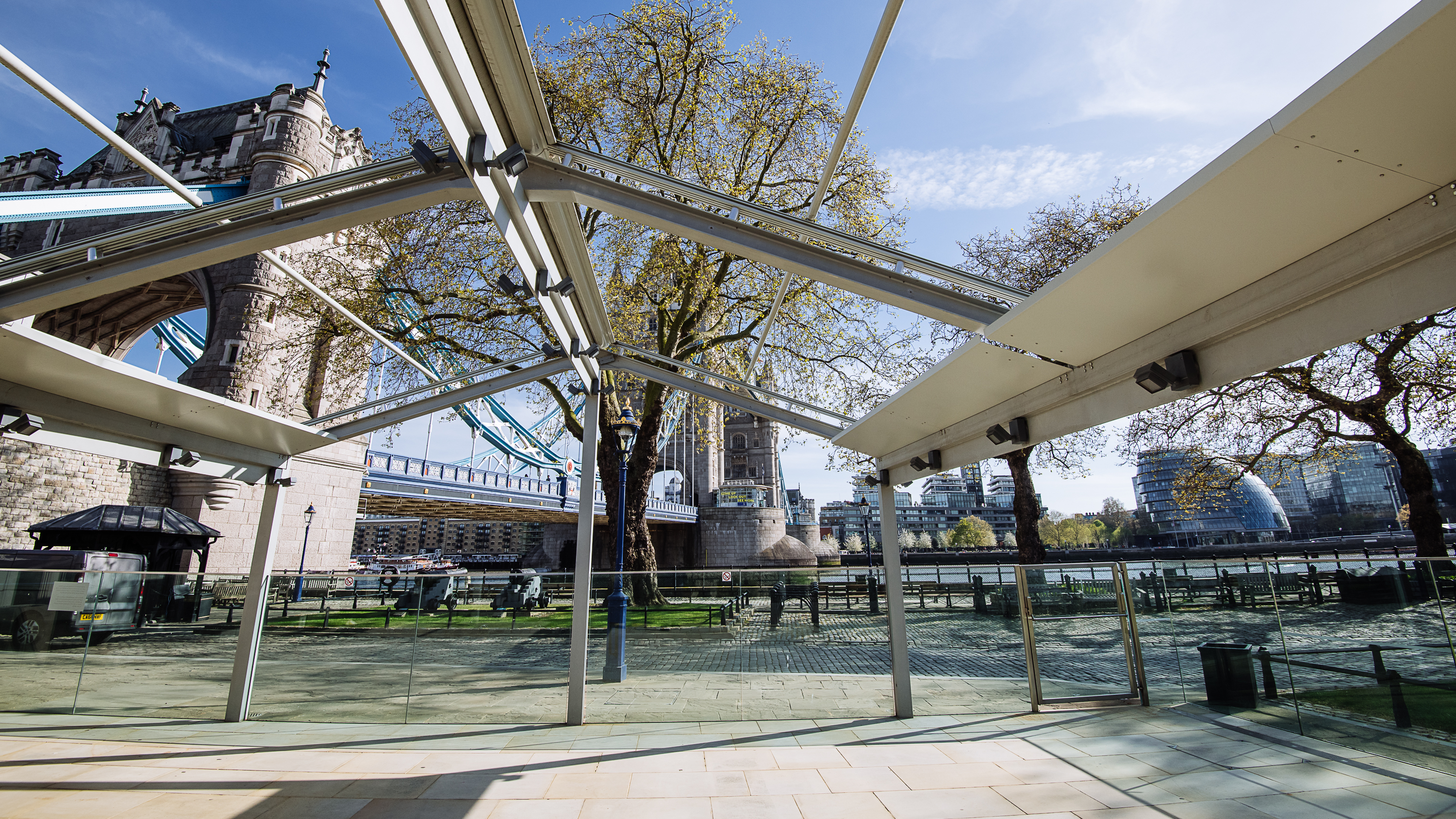 The Reveller - dgrxhebyisd.jpg