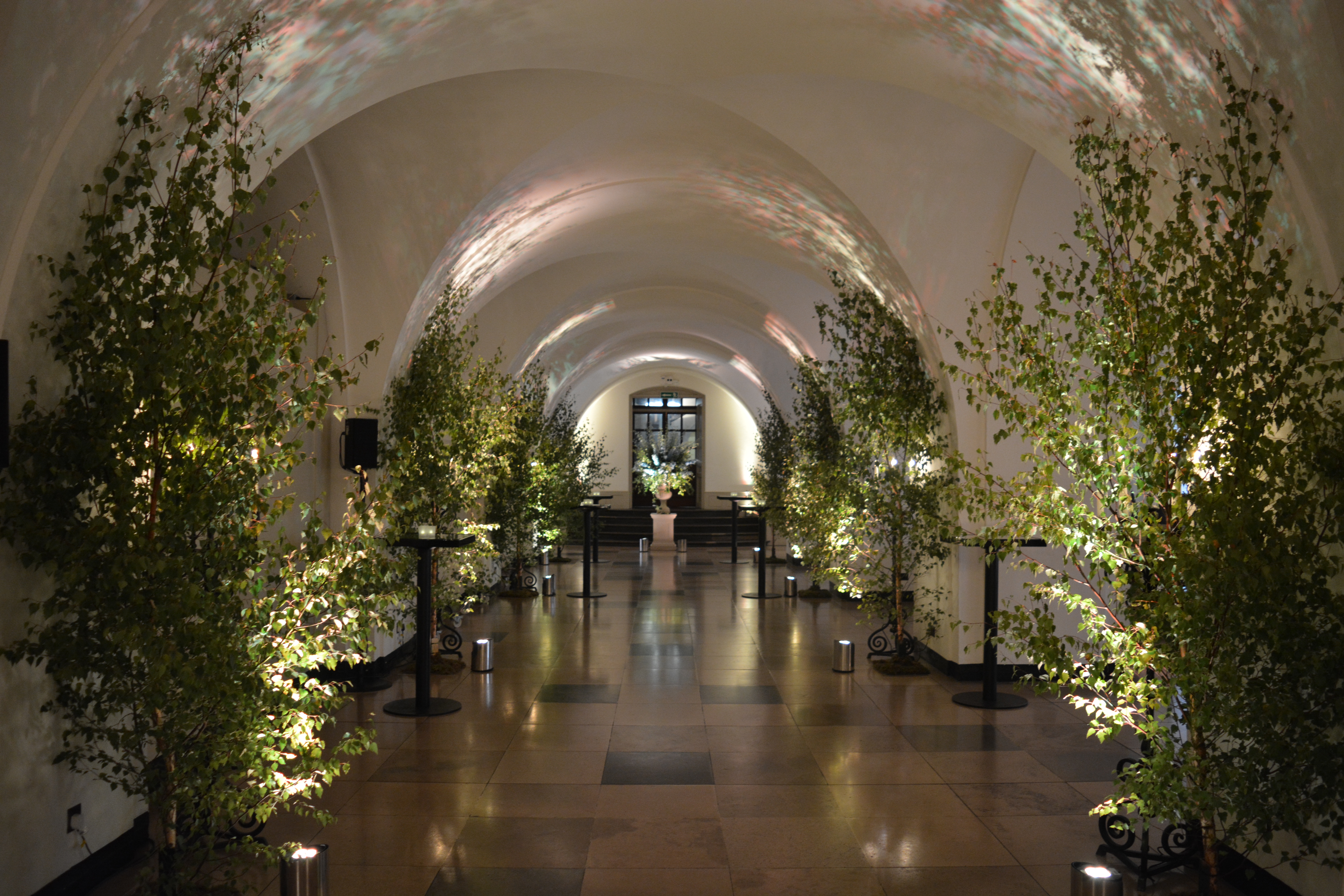 Whole Venue Hire  - 35lgrzjeagy.jpg