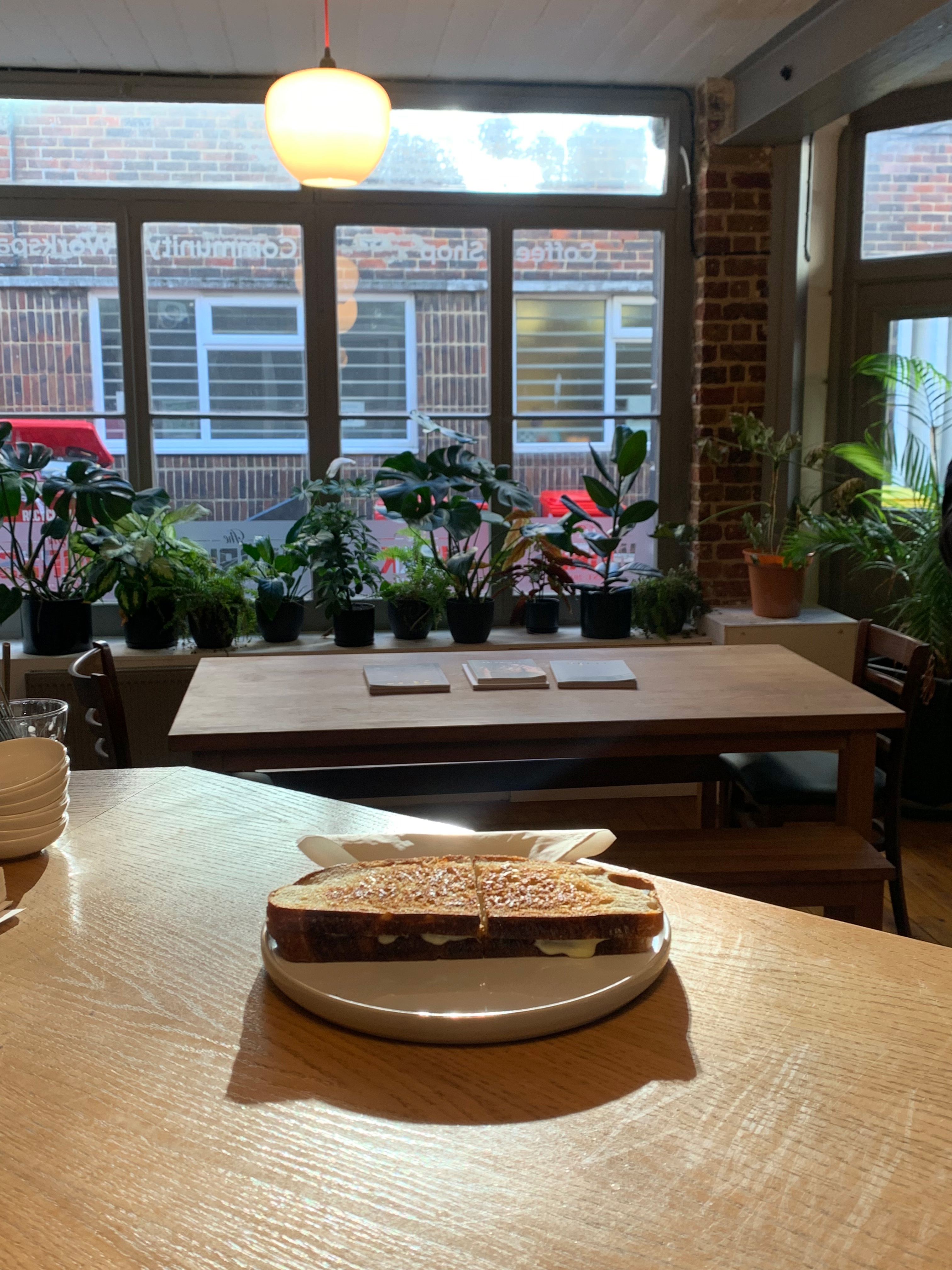 Bodega Eastbourne - lldtvx0st0o.jpg