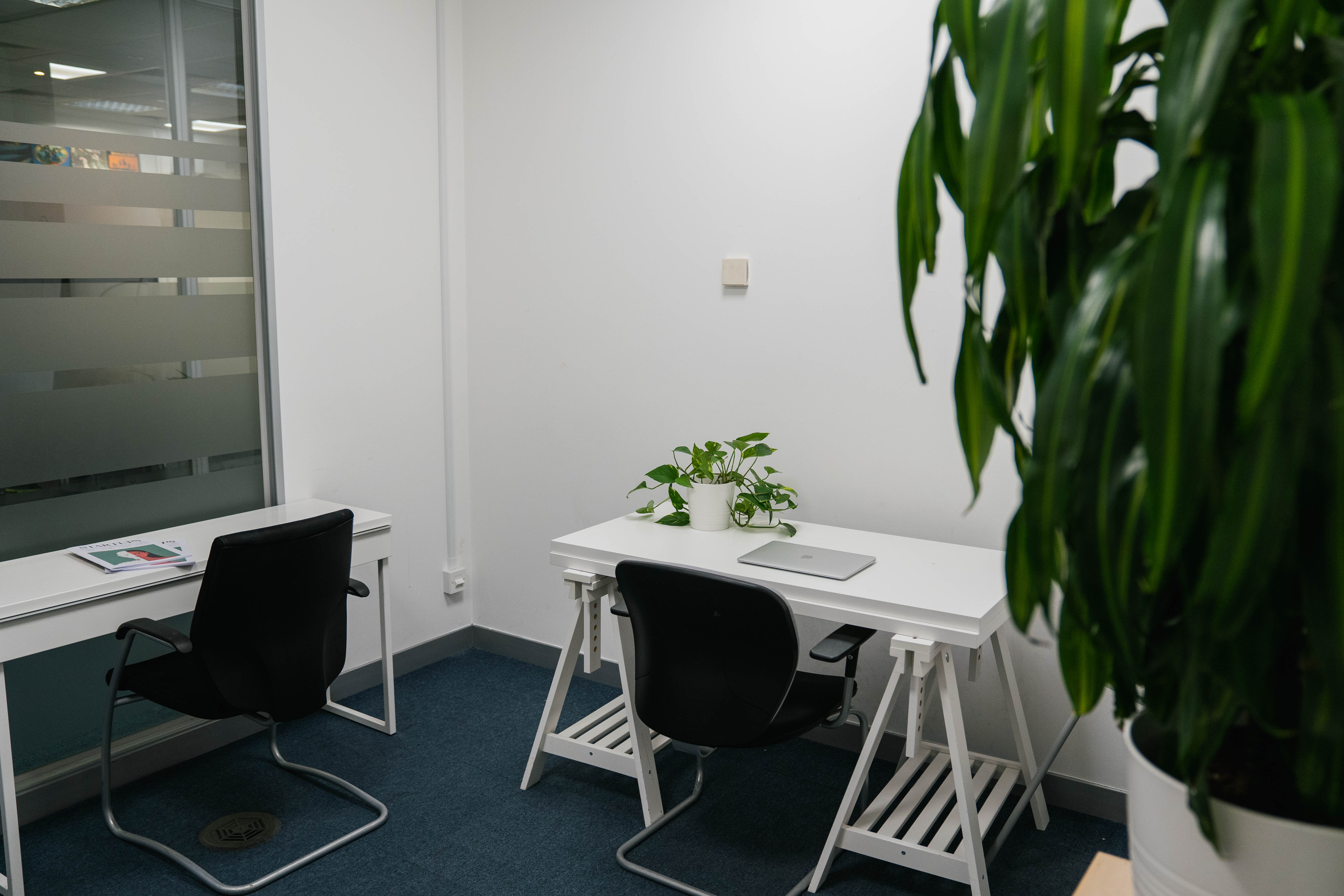 Minimalist meeting room with greenery, ideal for brainstorming sessions and workshops.