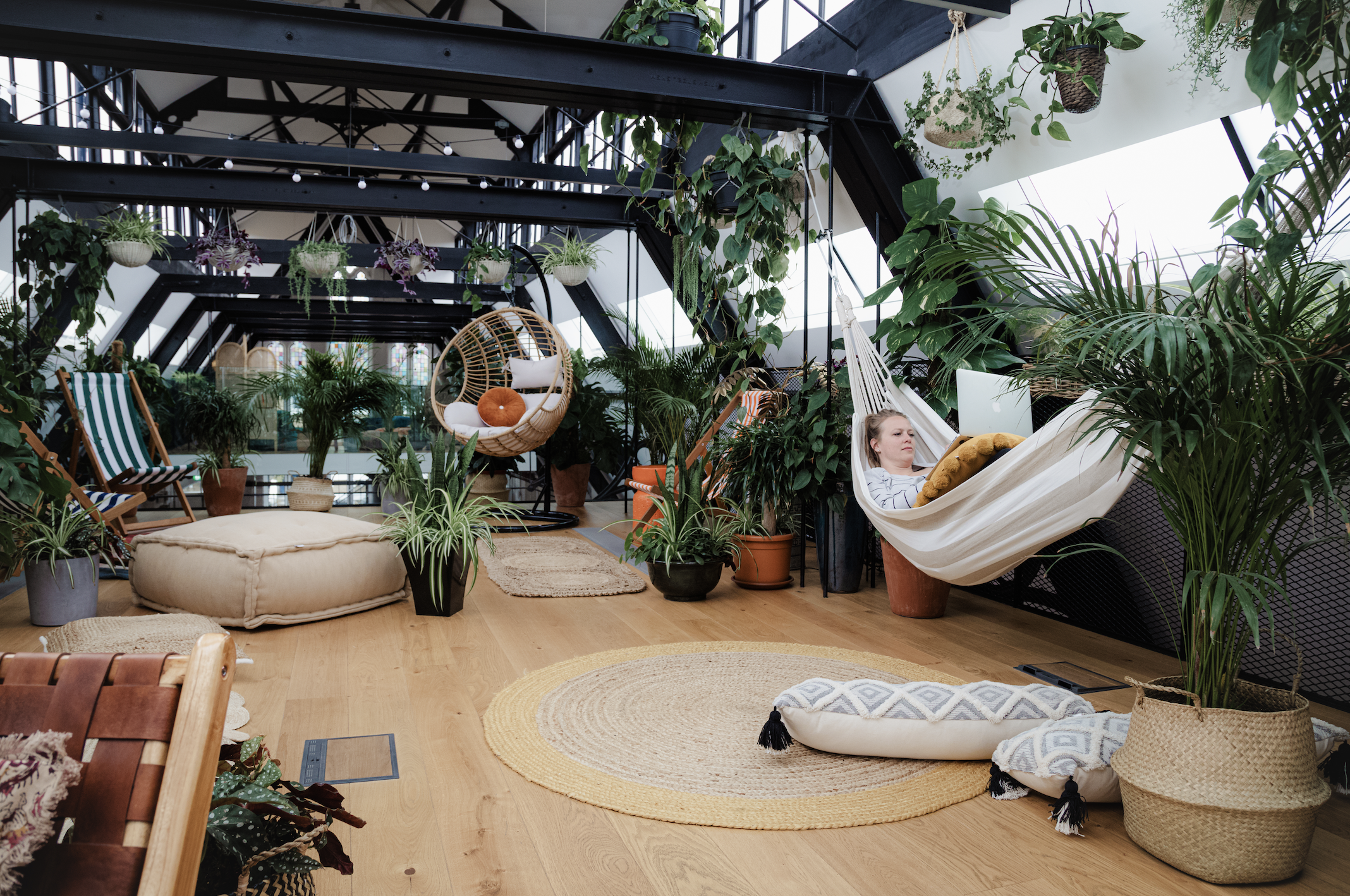 Vibrant Hanging Garden with cozy seating for team-building and brainstorming events.