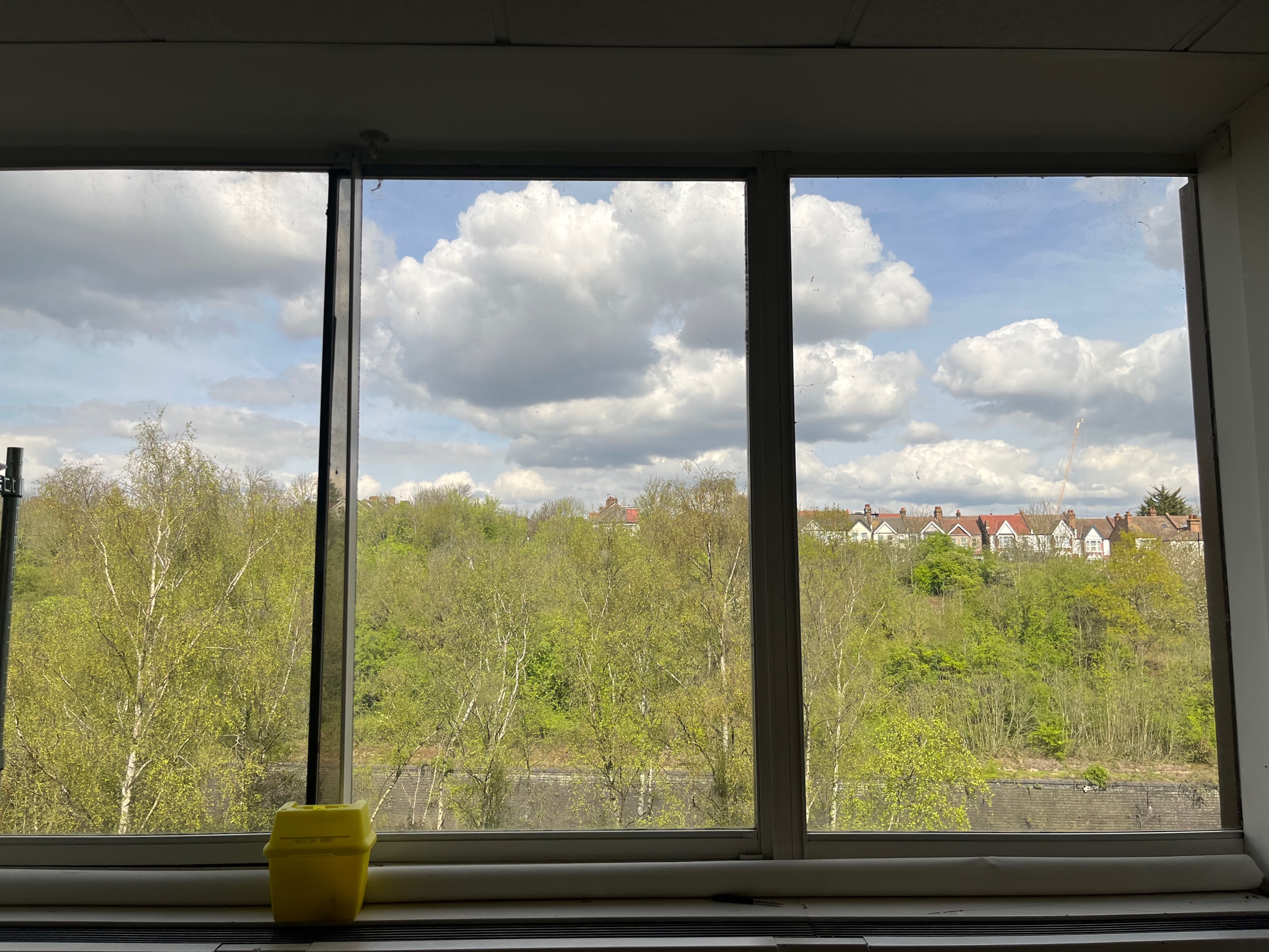 Bright meeting space with large windows and lush greenery for creative events in London.