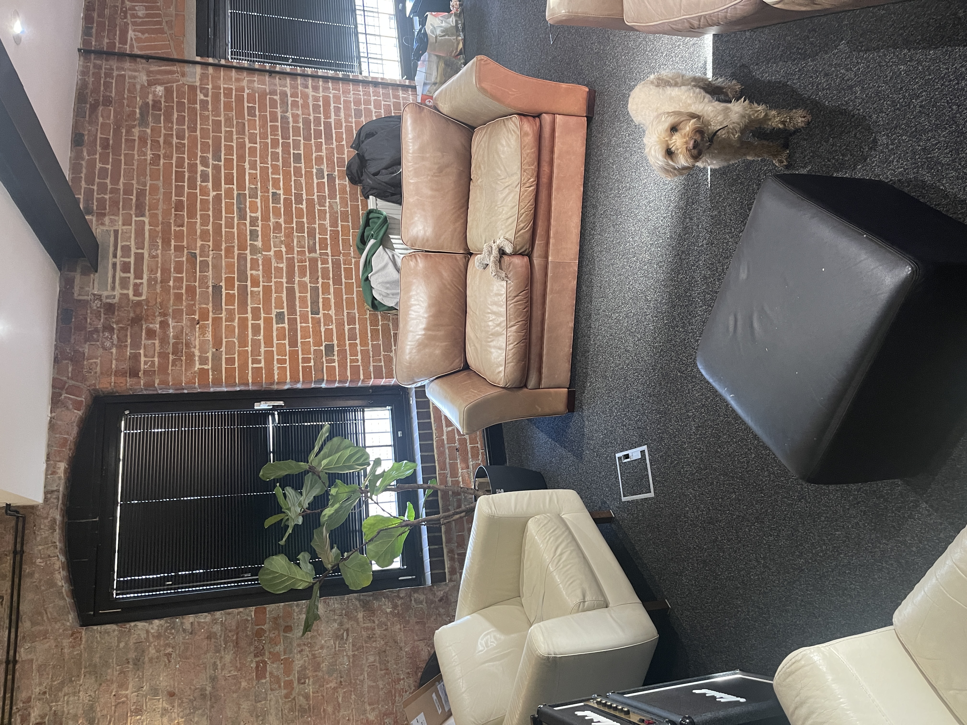 Cozy meeting space with sofas and exposed brick, perfect for brainstorming sessions.