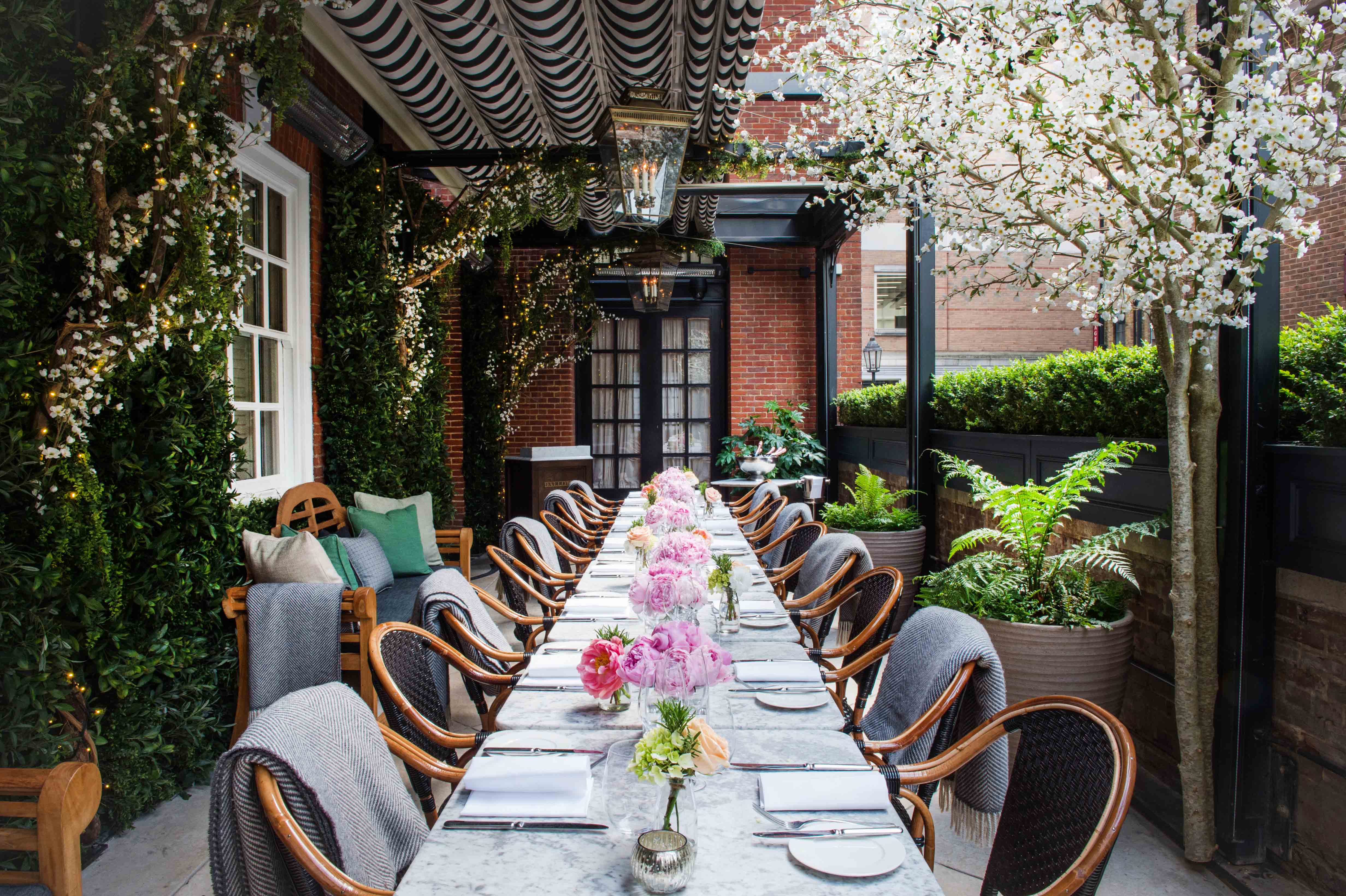 Dalloway Terrace - b566b502-16a9-4984-a8a5-1eaebe692aa5.jpg