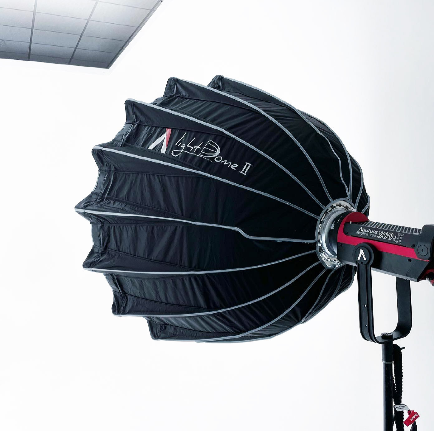 "Summer Isle Studios softbox lighting setup for professional event photography"