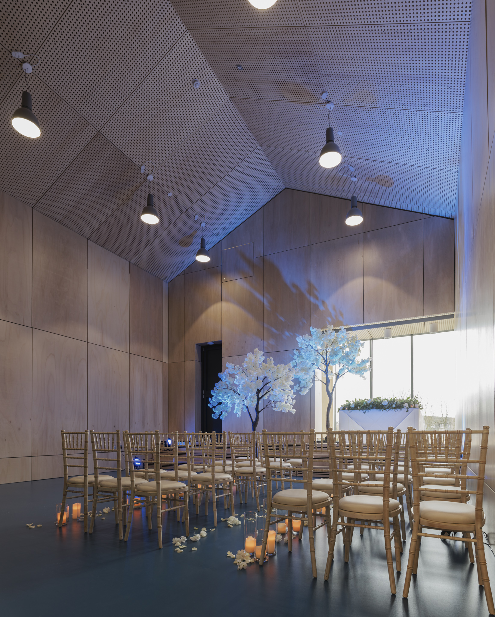 Space 4 - fsangaa5pk0.jpg