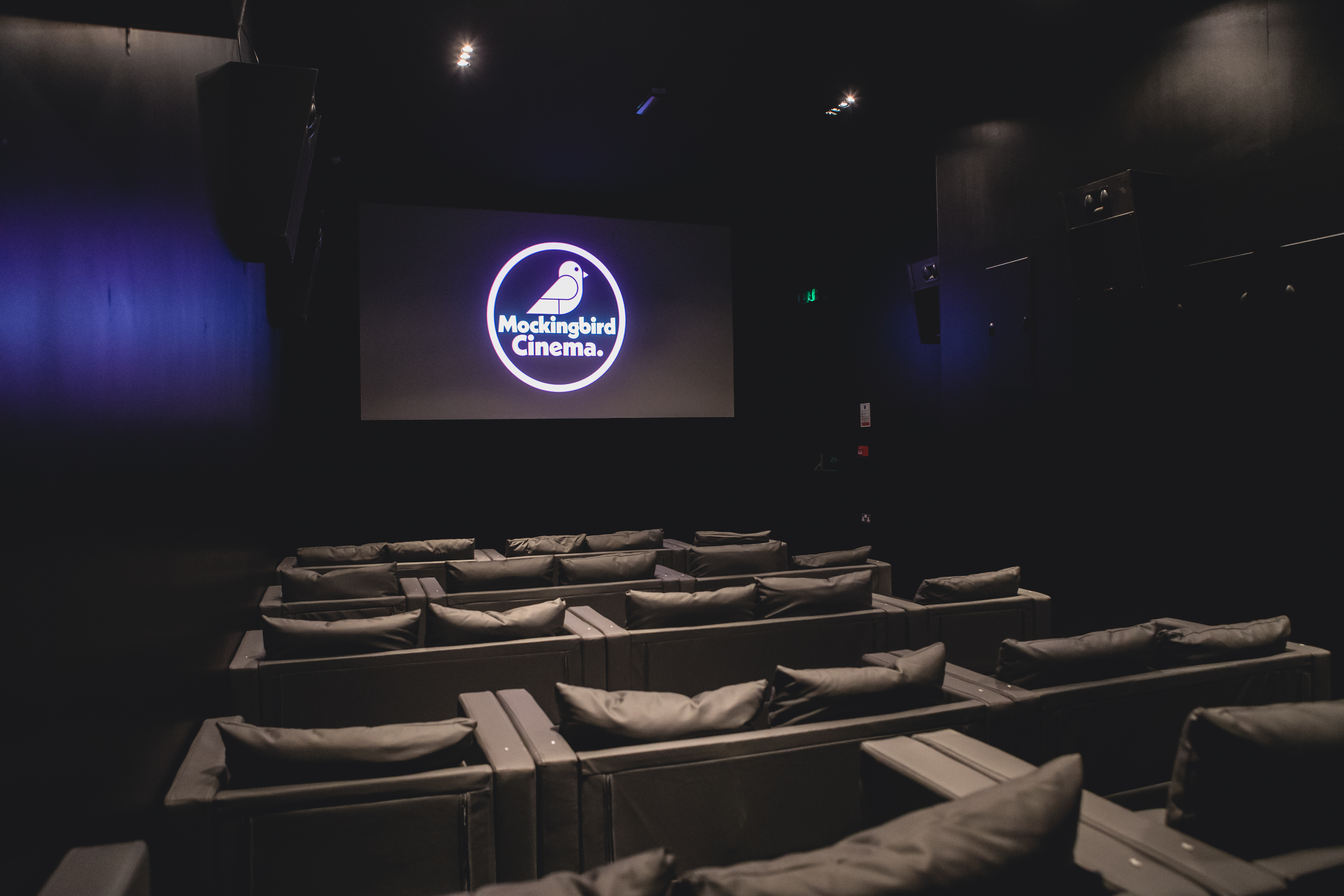 Modern cinema with plush seating, ideal for private events and screenings.