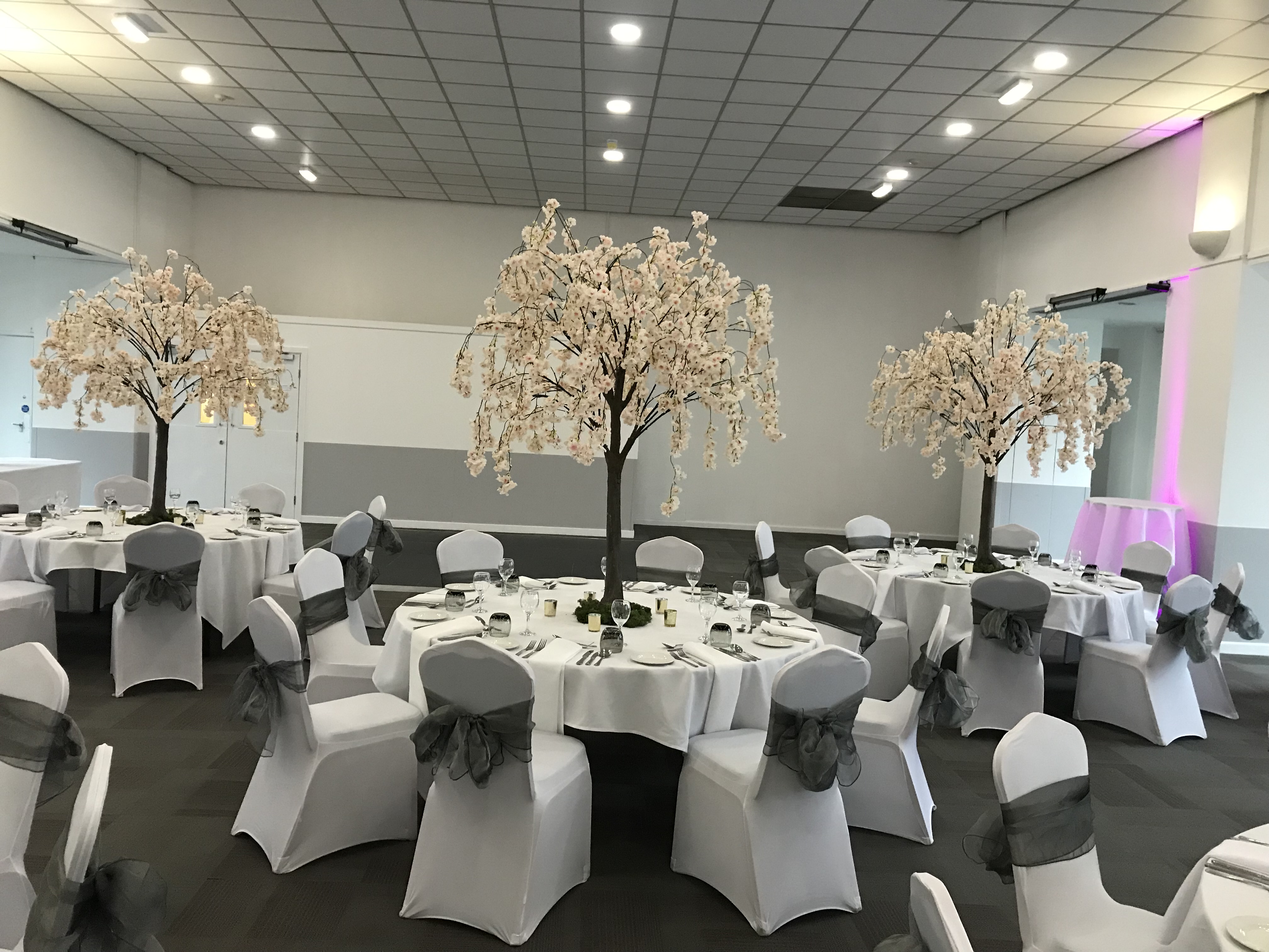 Pioneer Room - 2qi4bbag43b.JPG