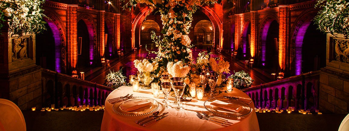 Natural History Museum (London) - image 1