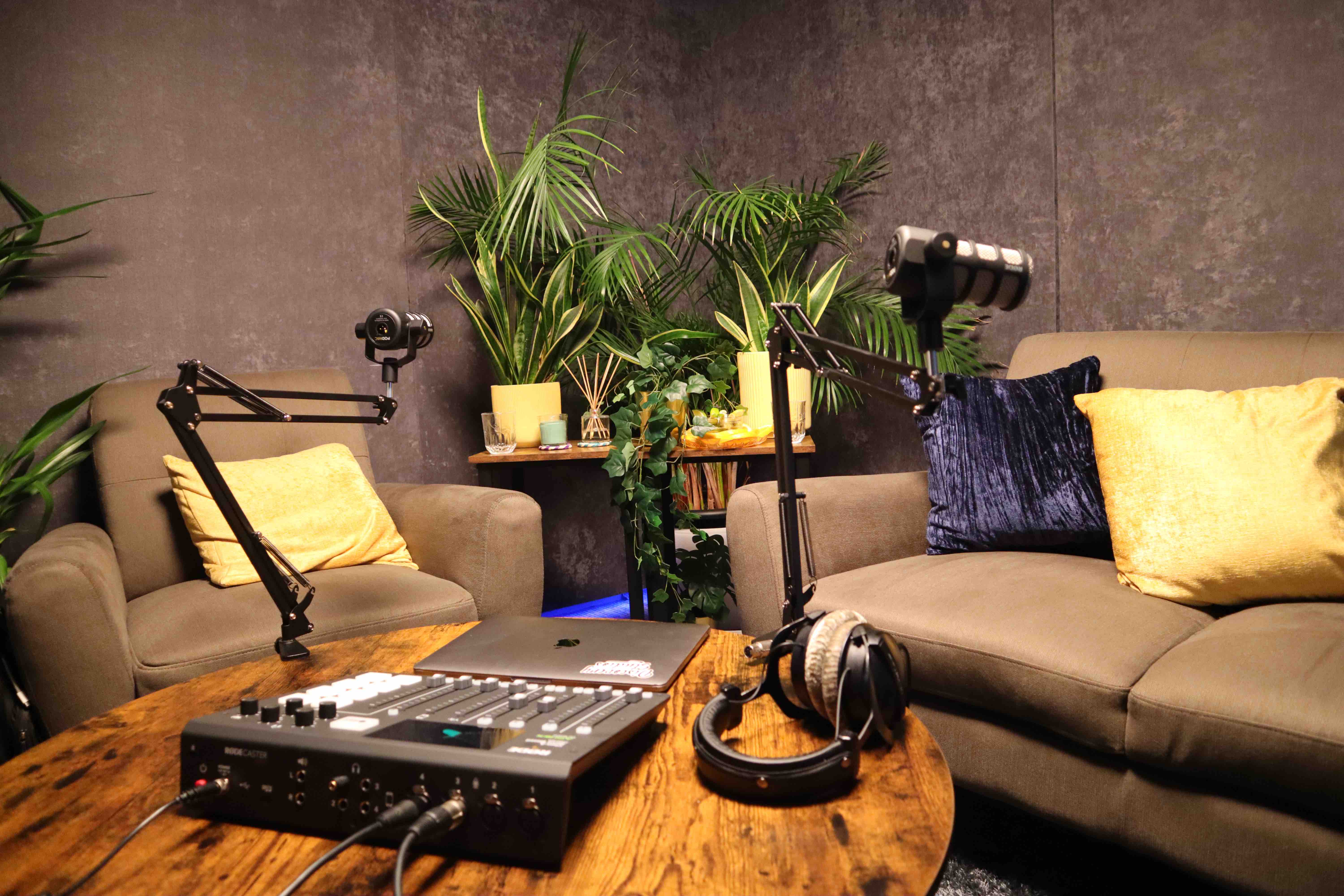 Podcasting setup with audio equipment and greenery for creative events.