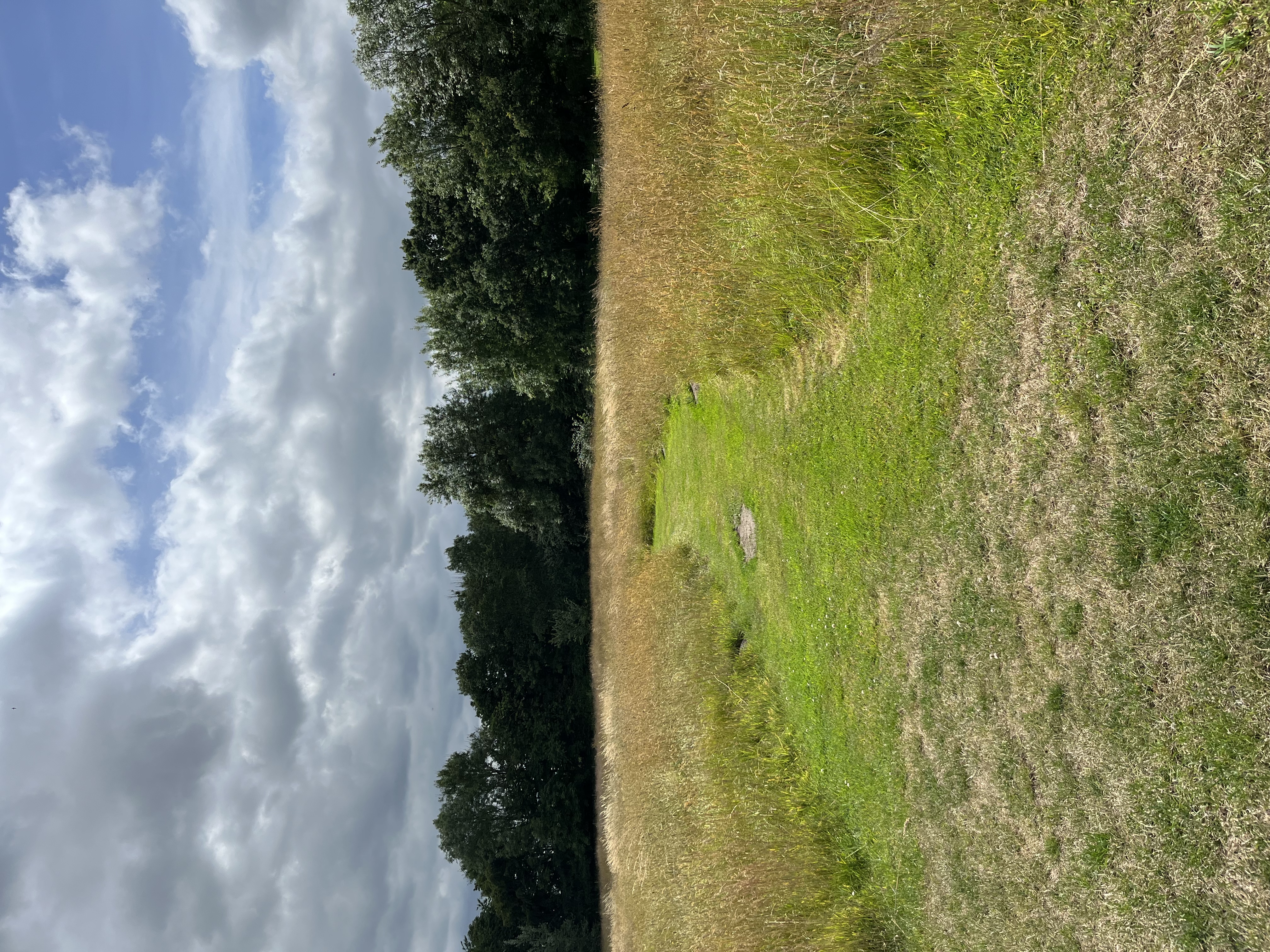 Serene Church Farm Estate meadows, ideal for team-building retreats and nature events.