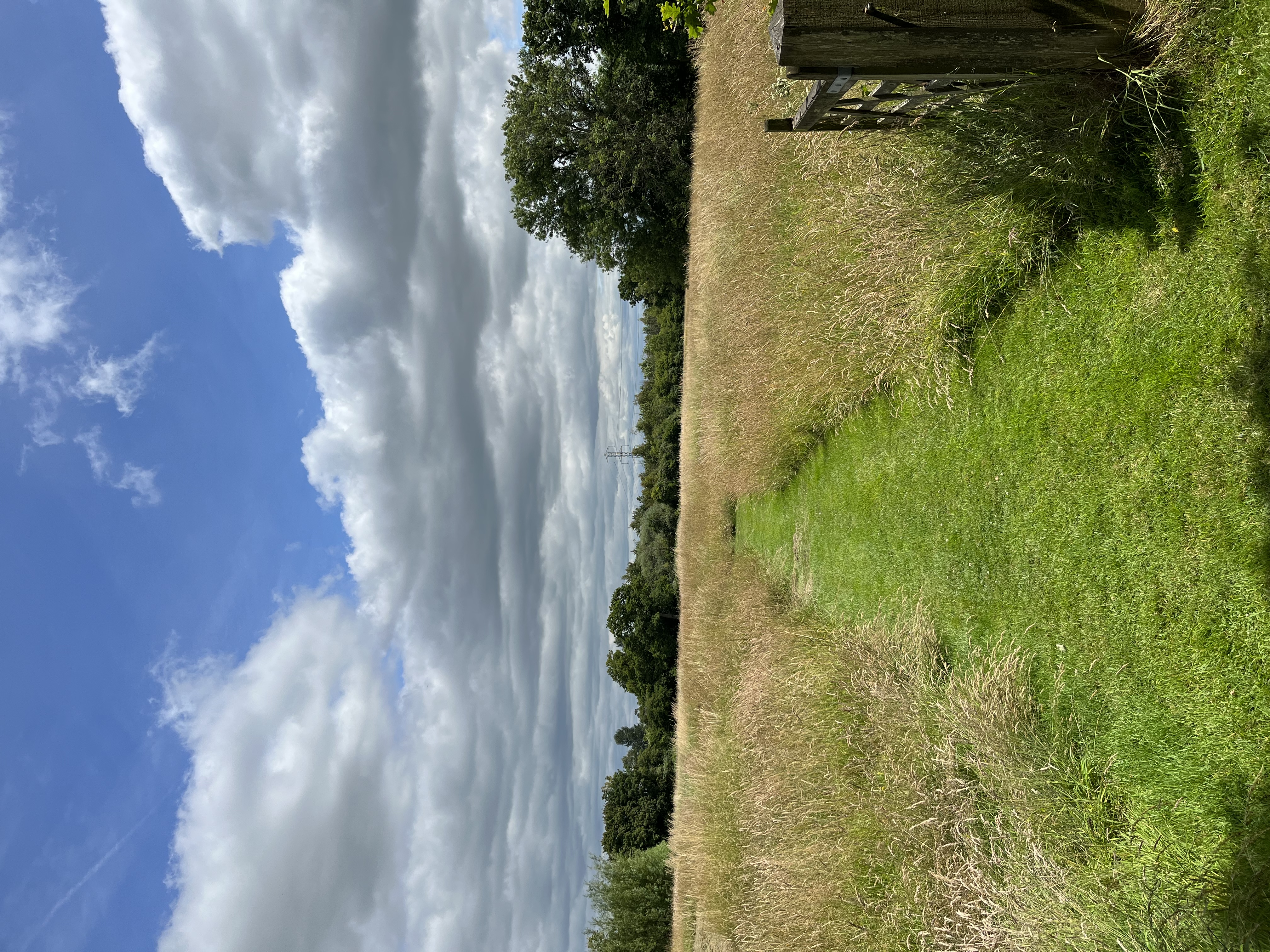 Serene outdoor meadows at Church Farm Estate, ideal for team-building and wellness retreats.