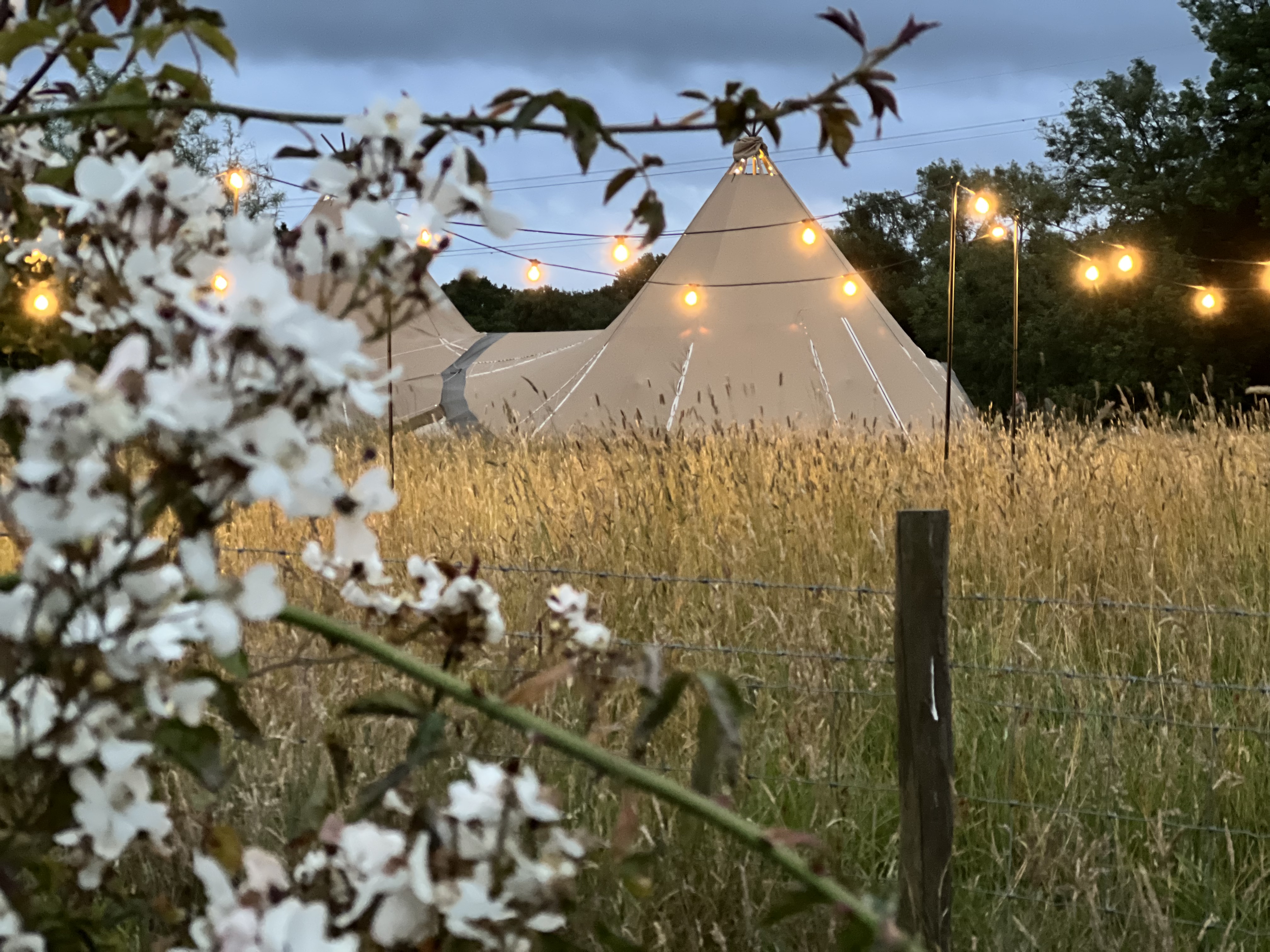 Outdoor wedding venue with tent and string lights at Church Farm Estate.