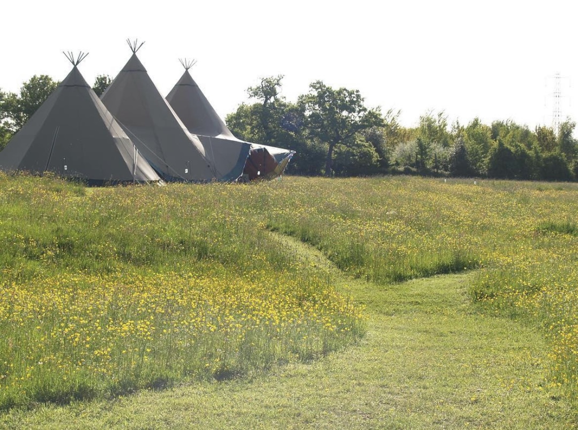 Teepee tents in lush greenery at Meadows, perfect for team-building retreats and workshops.