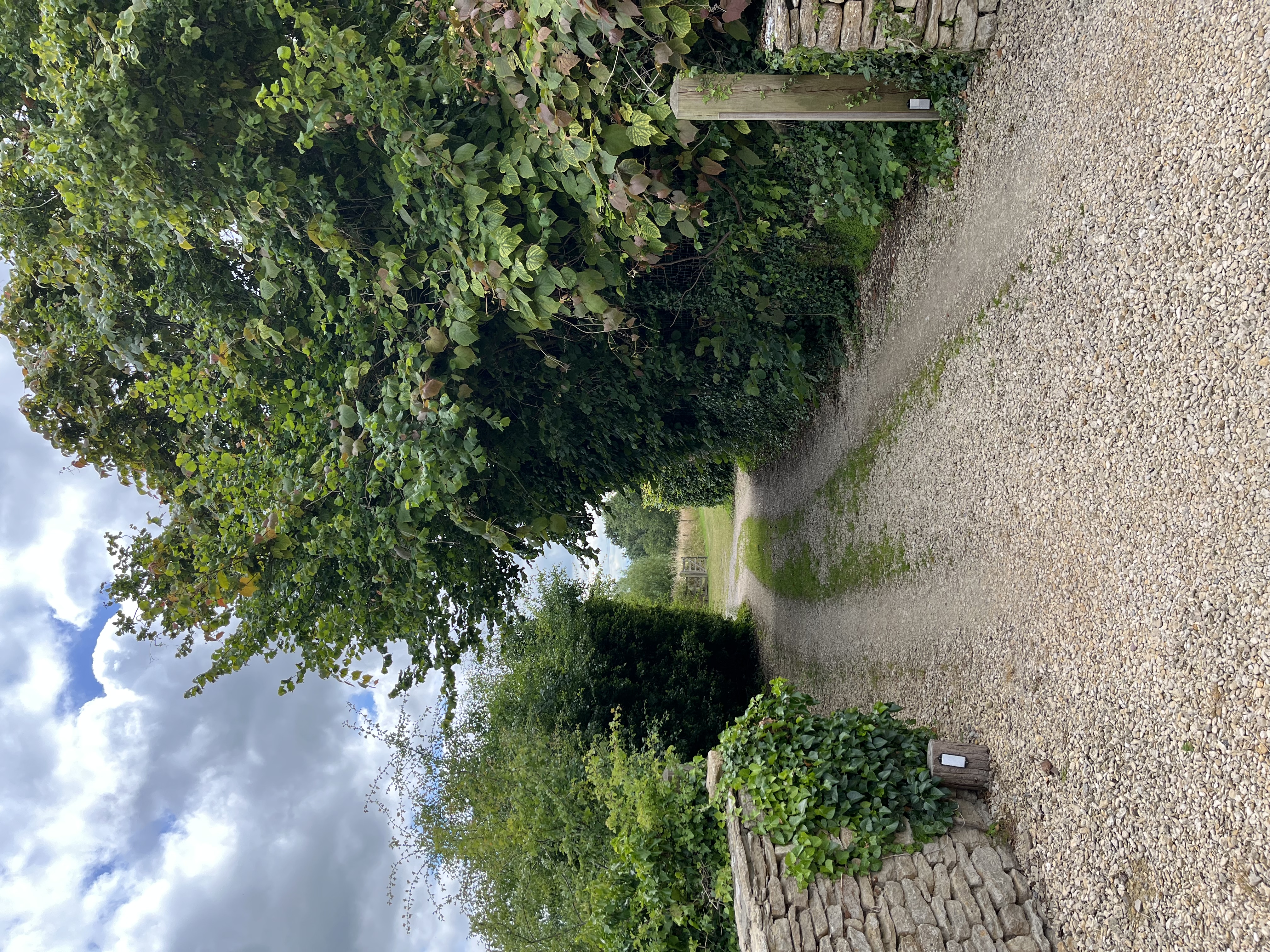 The Farmhouse - 3l2s50xl5t4.jpeg