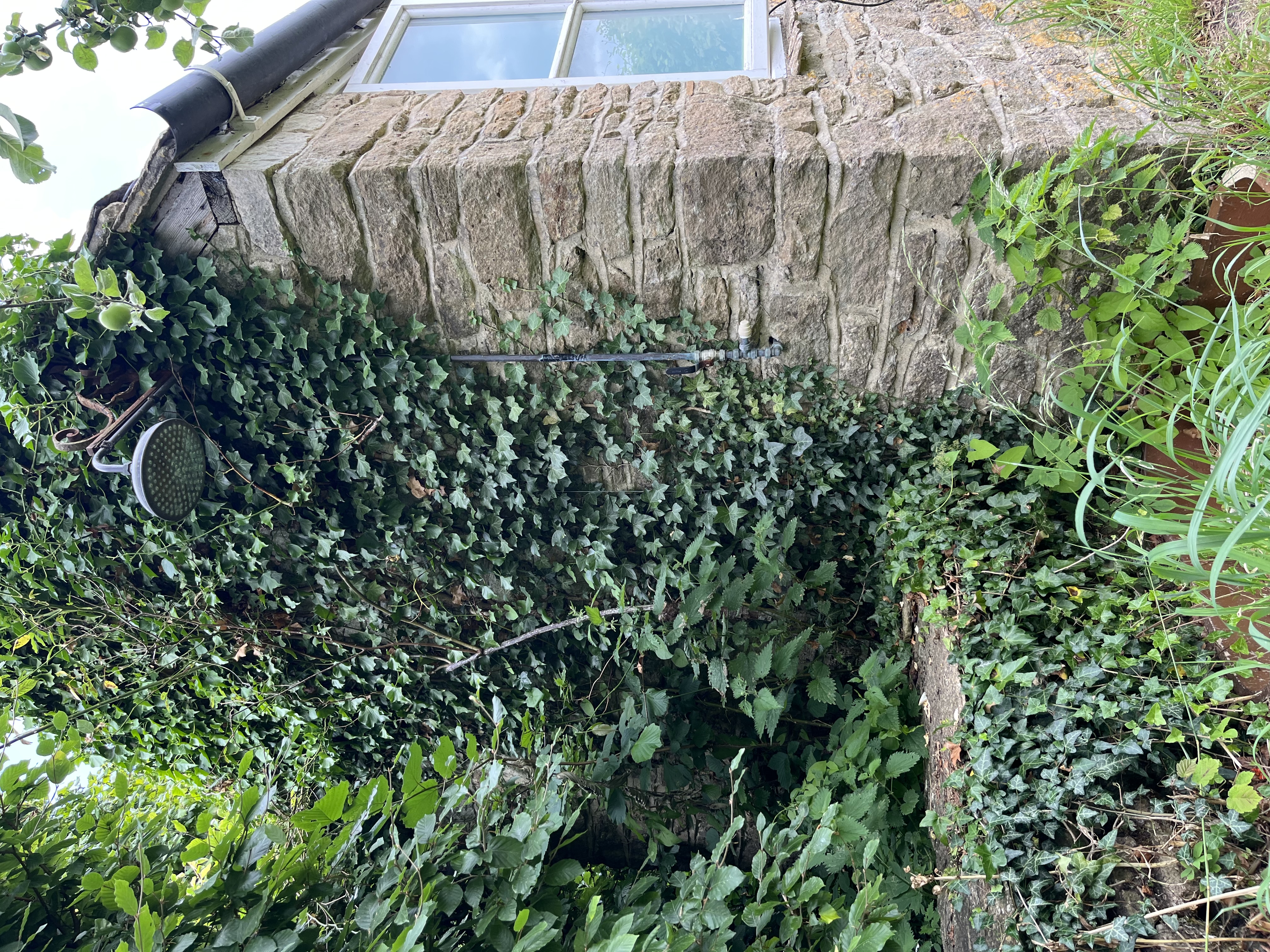 Charming stone farmhouse with ivy, perfect for intimate gatherings and retreats.