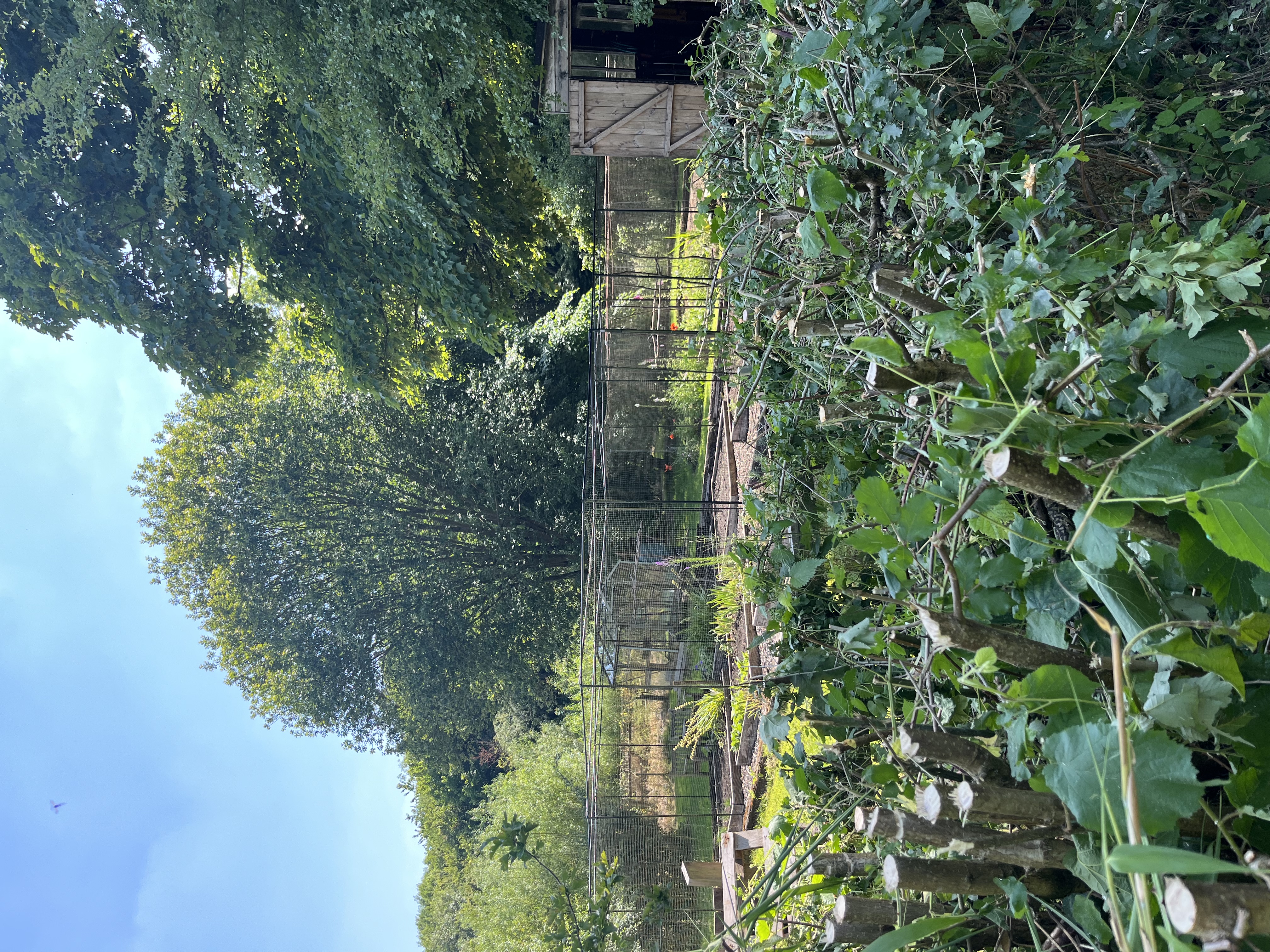 Whole Estate  - mc2qzaj2lv3.jpeg