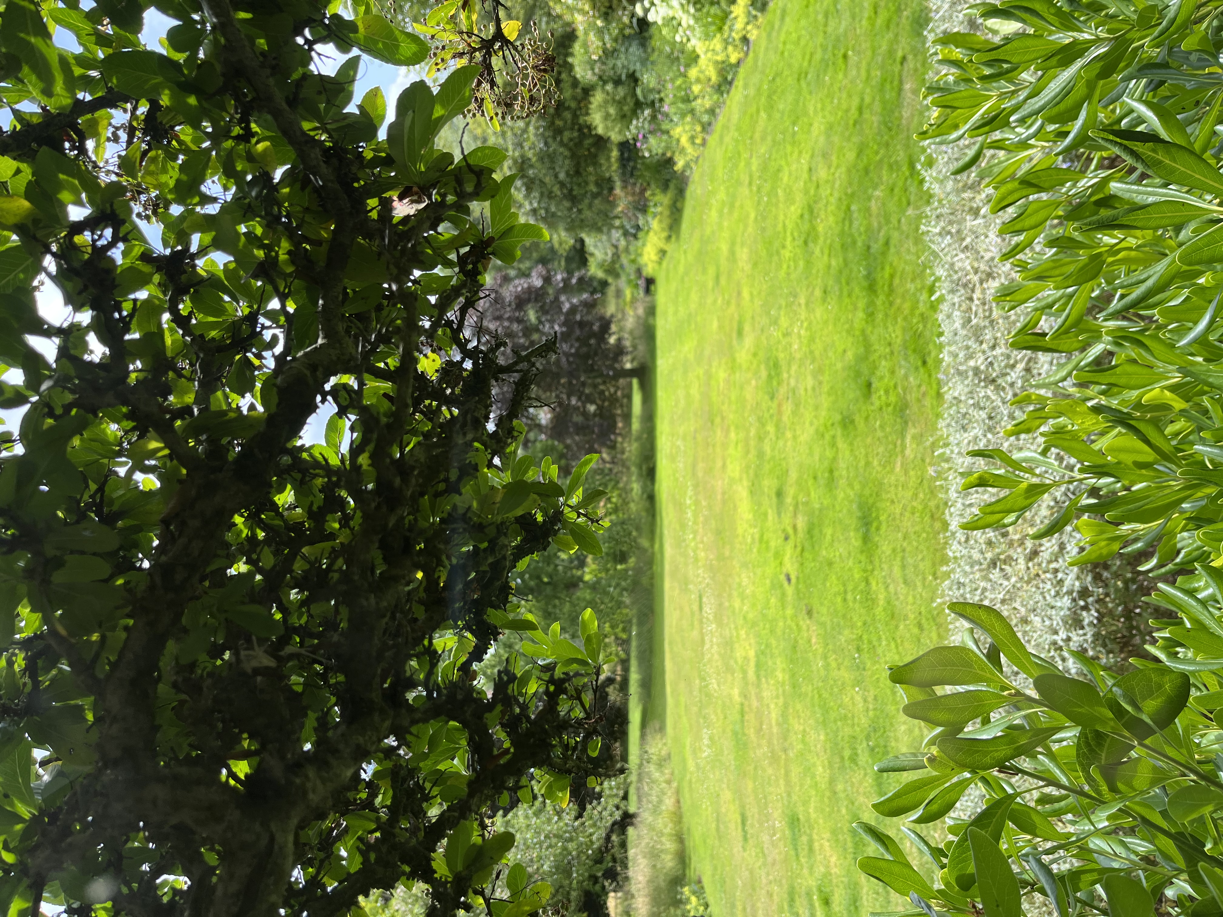 Lush green outdoor space at Church Farm Estate for events and gatherings.