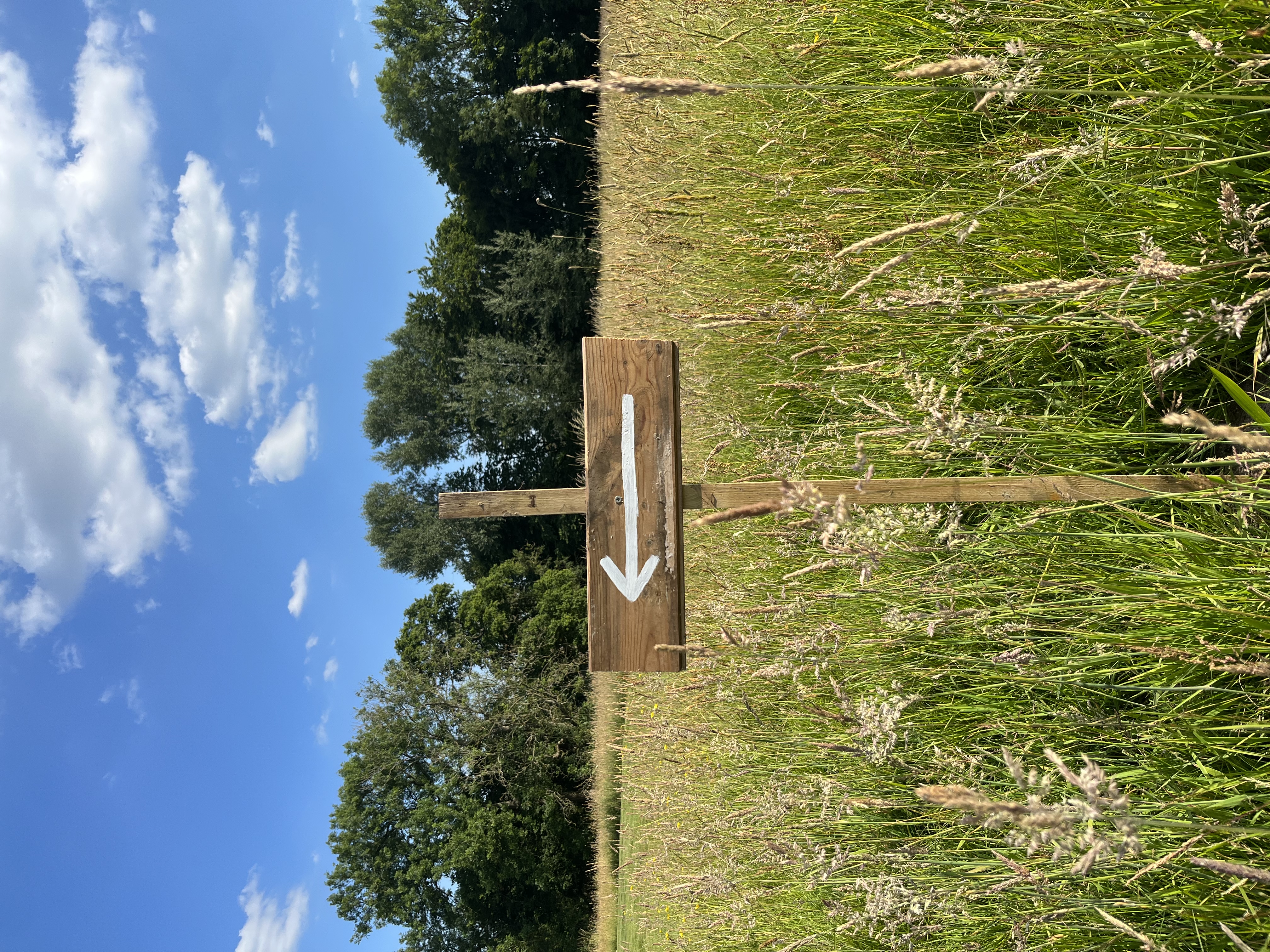 Whole Estate  - yahkq0nk2bm.jpeg