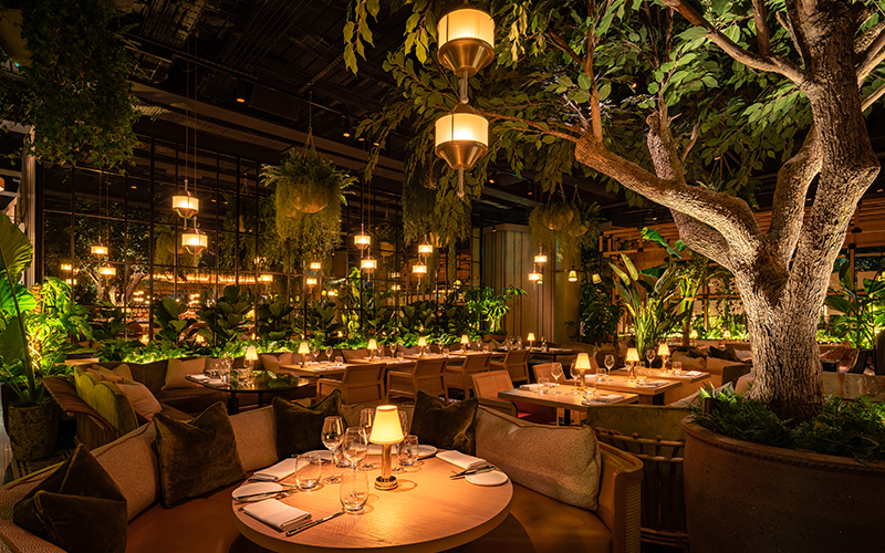 Exclusive Hire at 14 Hills restaurant, ideal for upscale events with warm lighting and greenery.