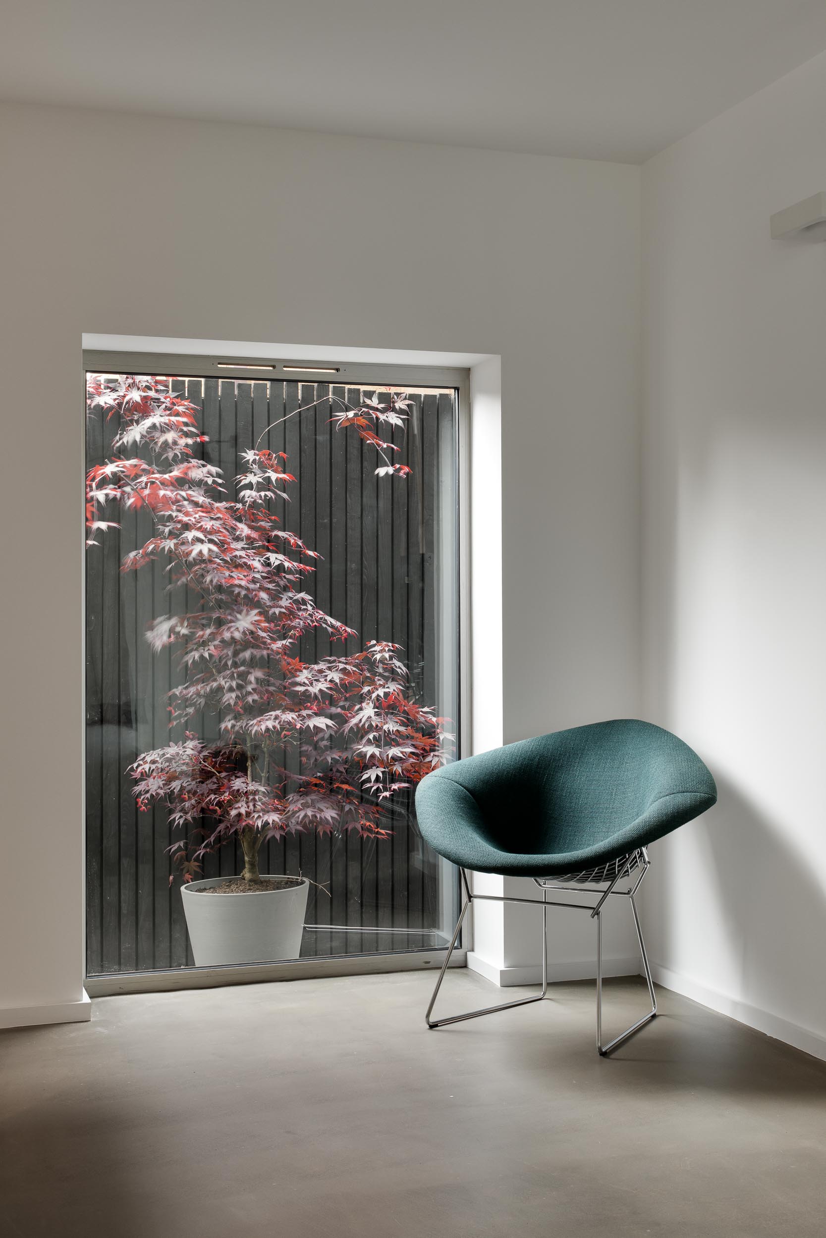 Serene meeting space with stylish chair and vibrant maple tree, perfect for creative events.