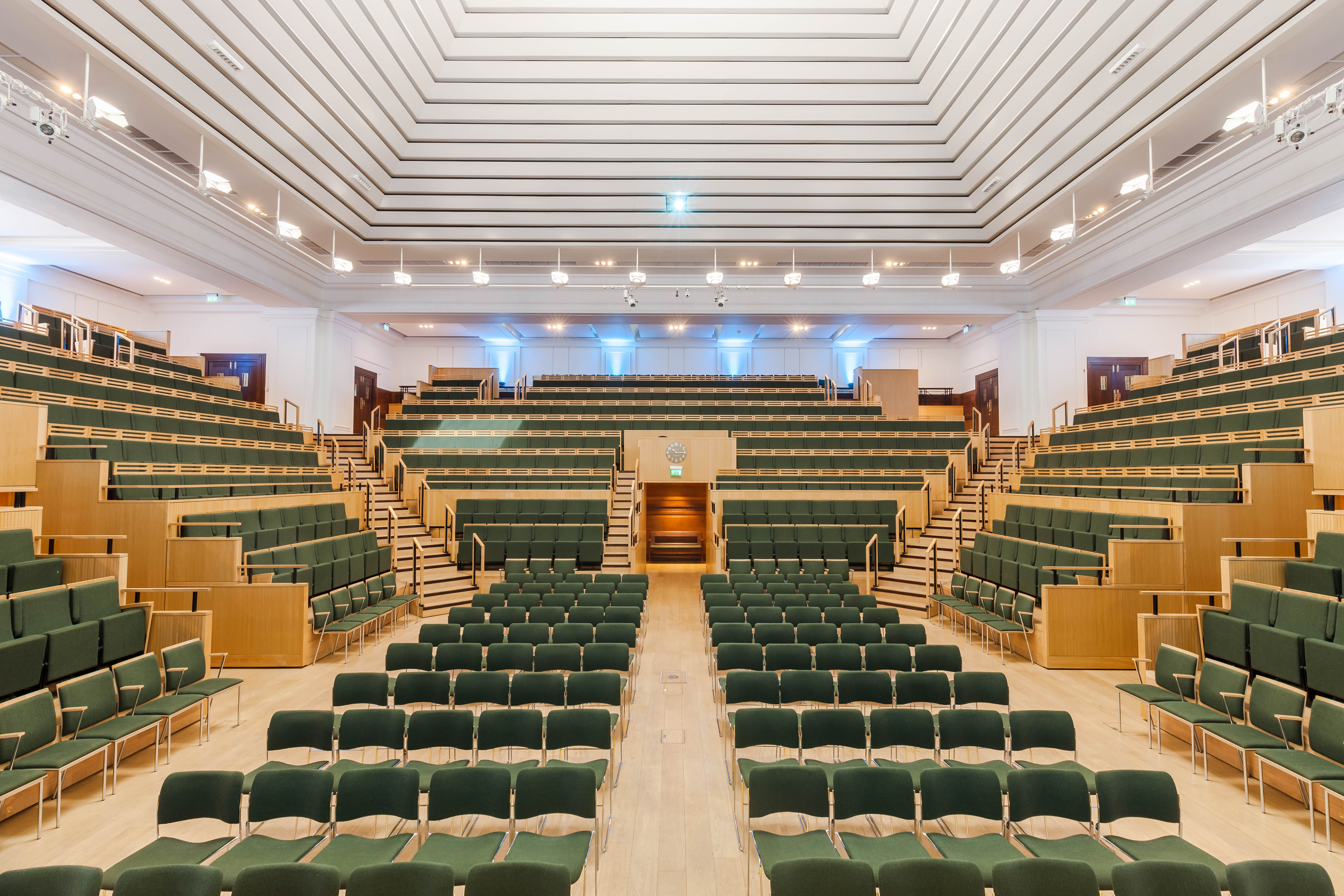 The Light - nqatzl0svwd.jpeg