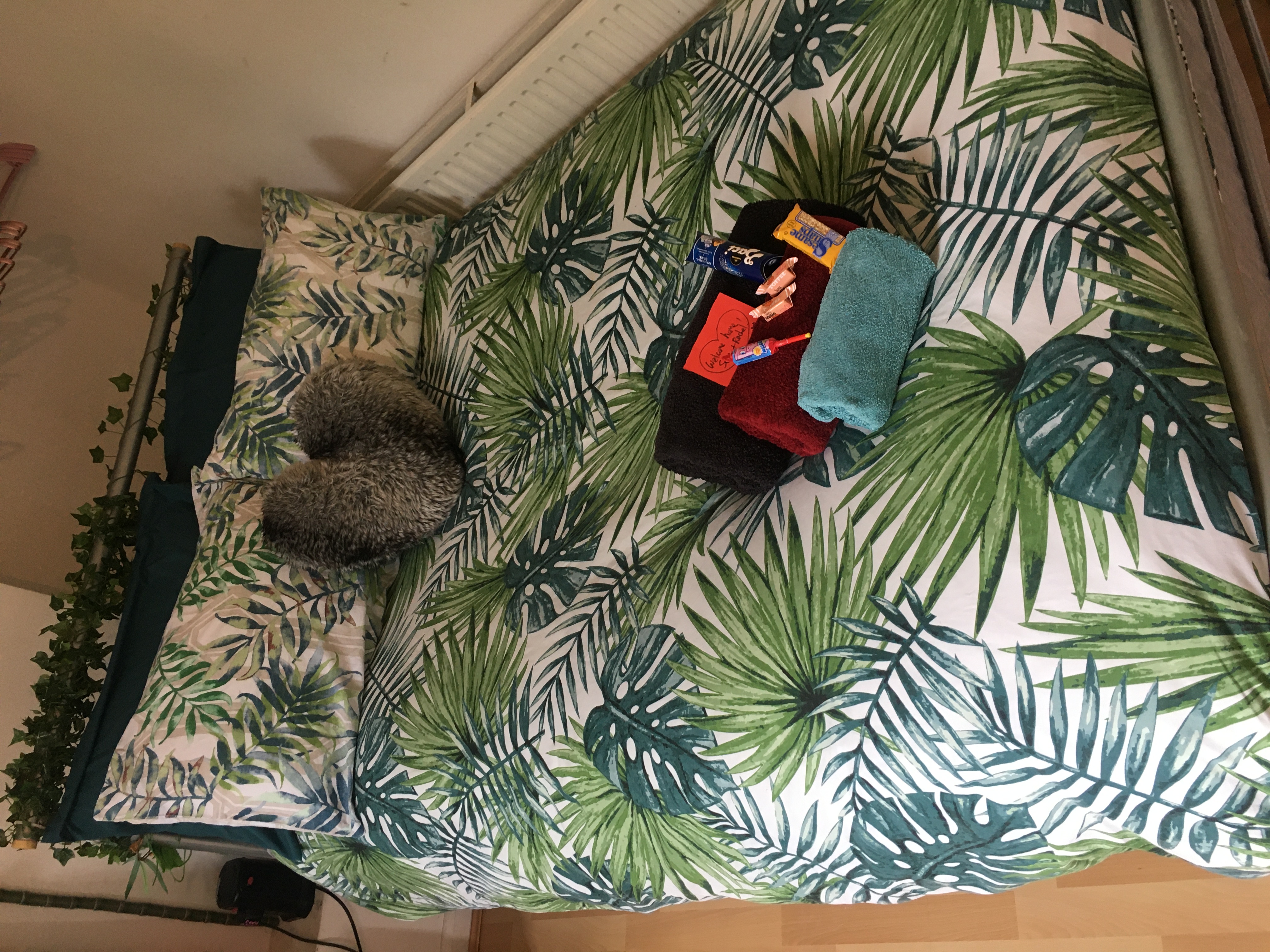 Studio flat for film shoots - egrzocn5hra.JPG