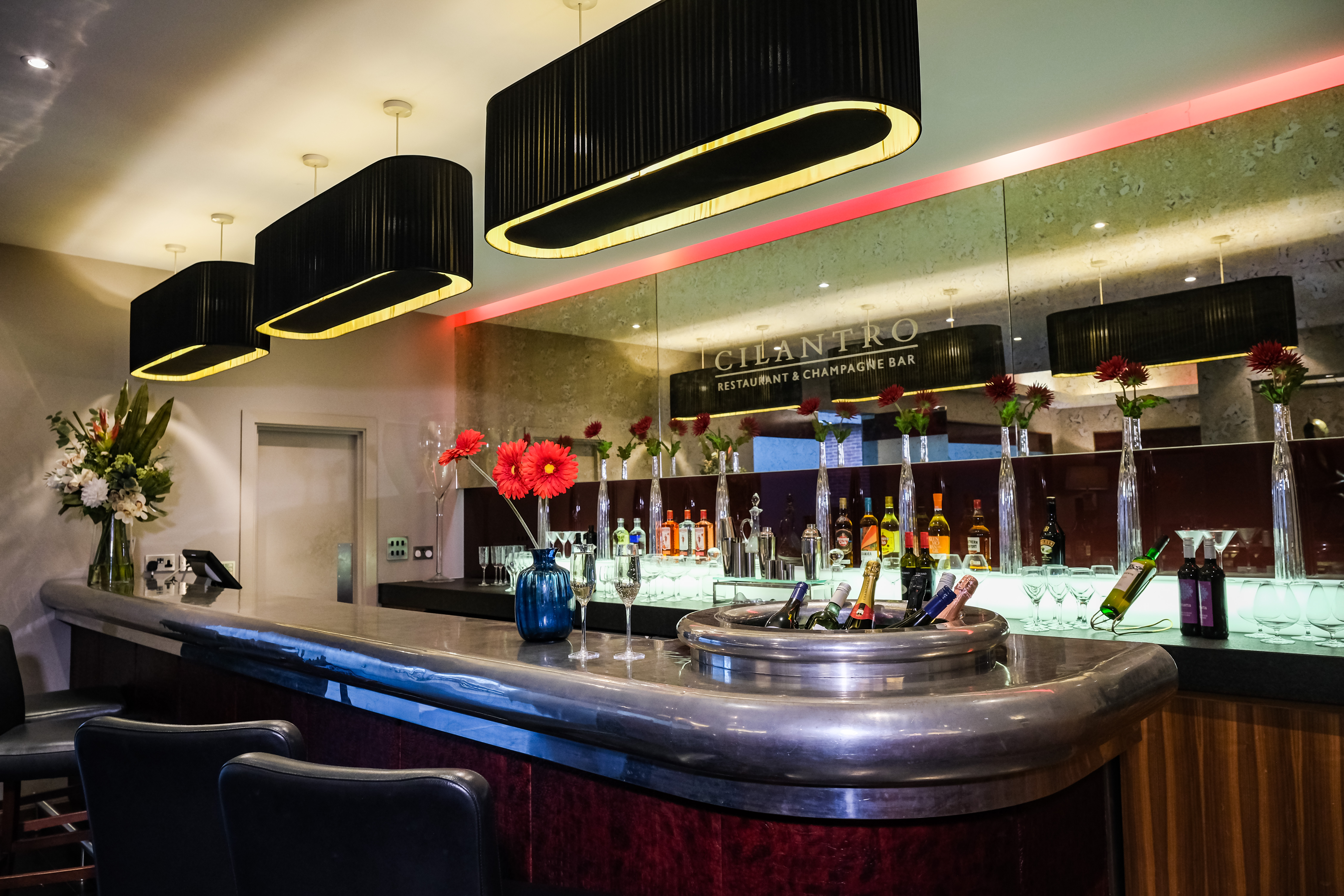 Cilantro Experience A sophisticated and exclusive dining venue,  - 78d8efea-9a0f-44e2-8d6f-ce5e36746648.jpg