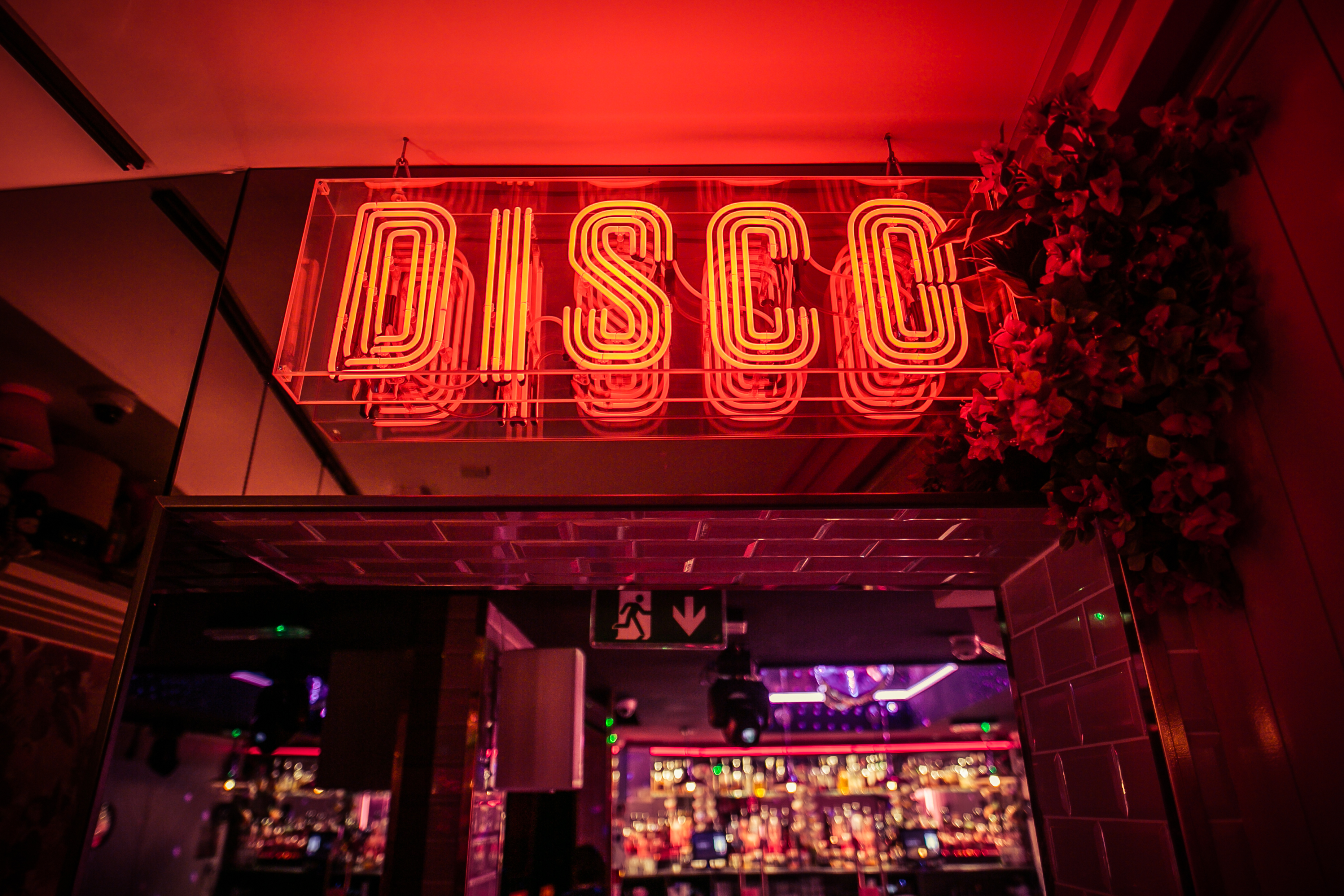 Vibrant neon "DISCO" sign in vibrant venue, ideal for events and parties.