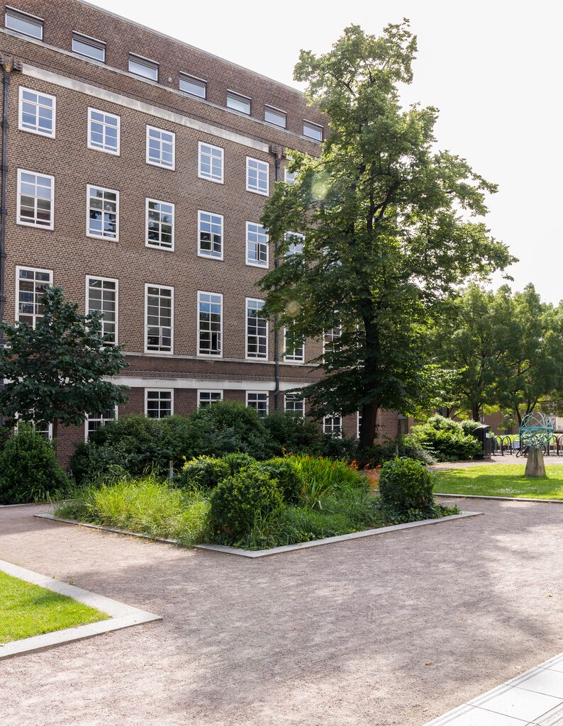 Torrington Square at University of London, lush greenery for outdoor events and gatherings.