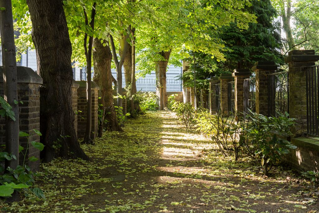 University of London Sunken Garden networking reception