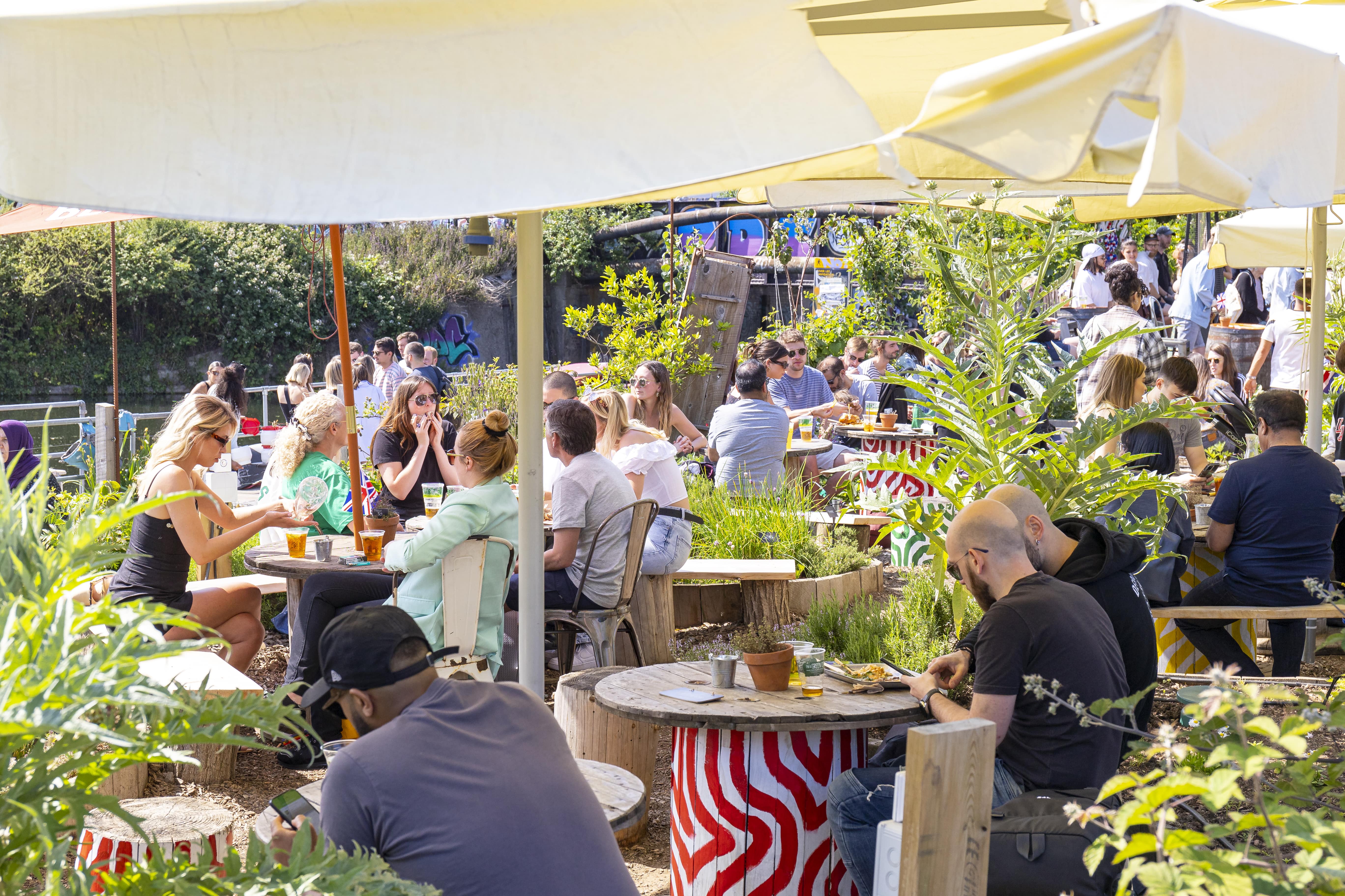 The Garden & Allotments - a2adj2bgnen.jpg