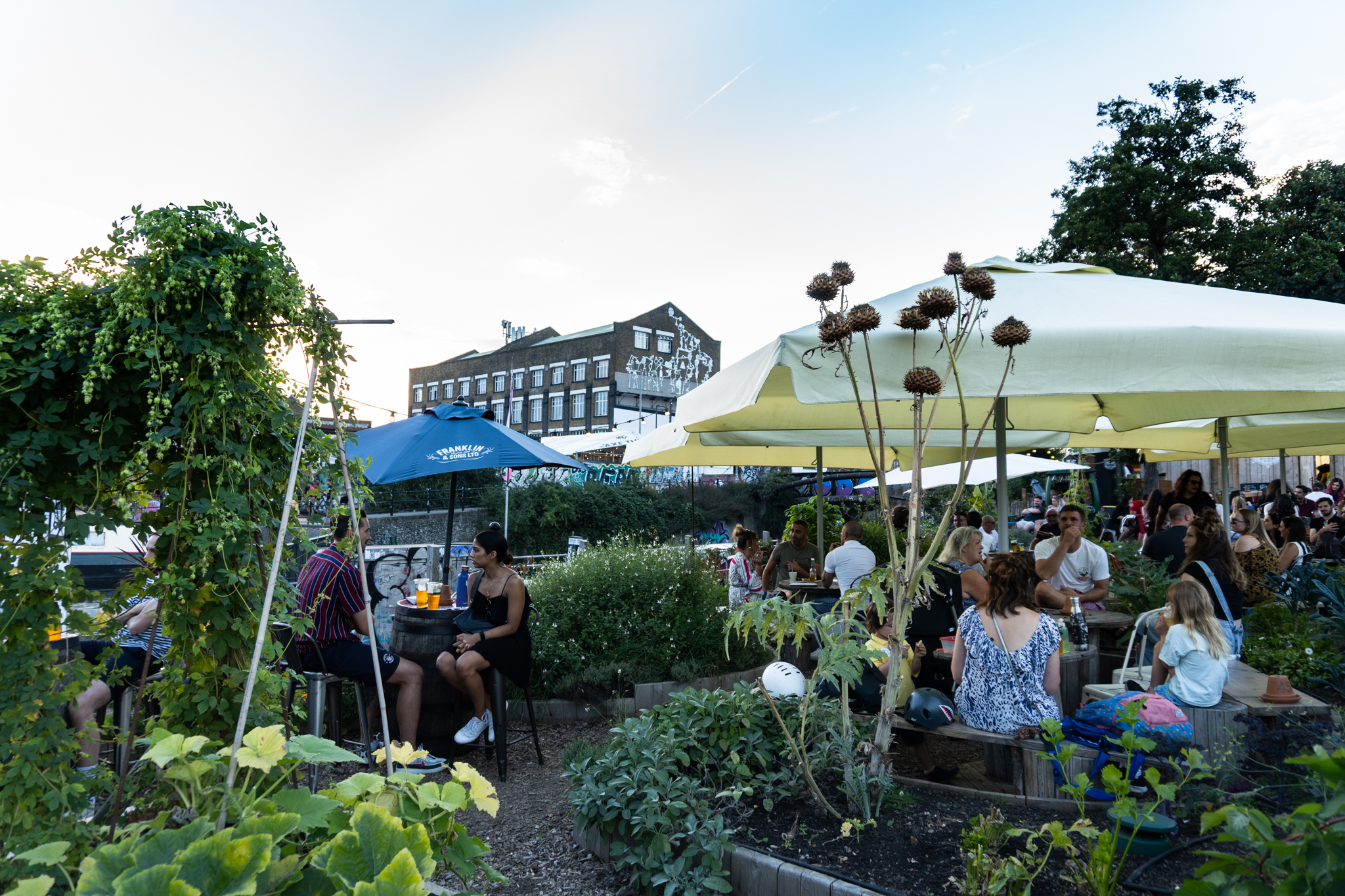 The Garden & Allotments - t4iyxwkscrf.jpg