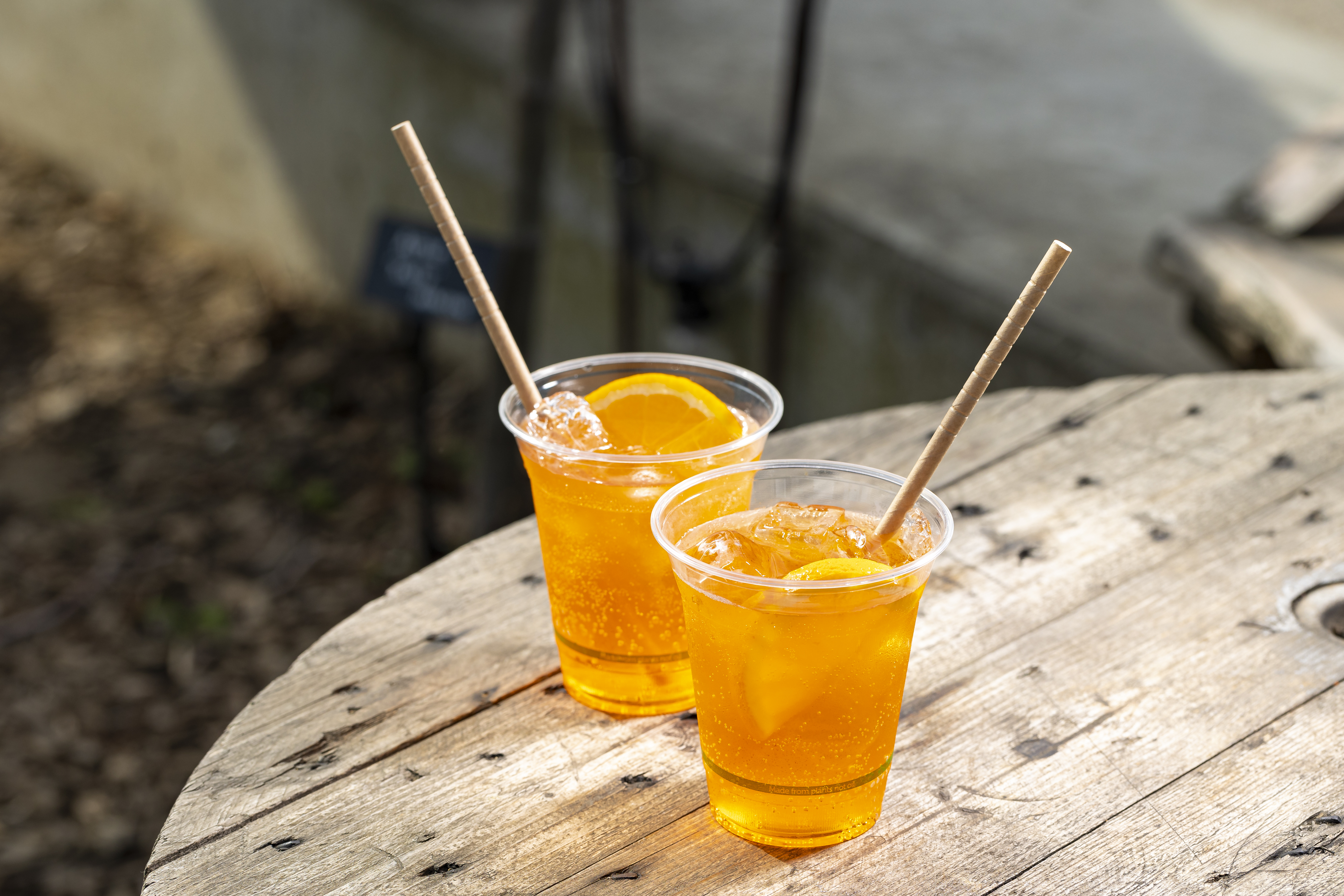 The Garden & Allotments - 400o2yylatr.jpg