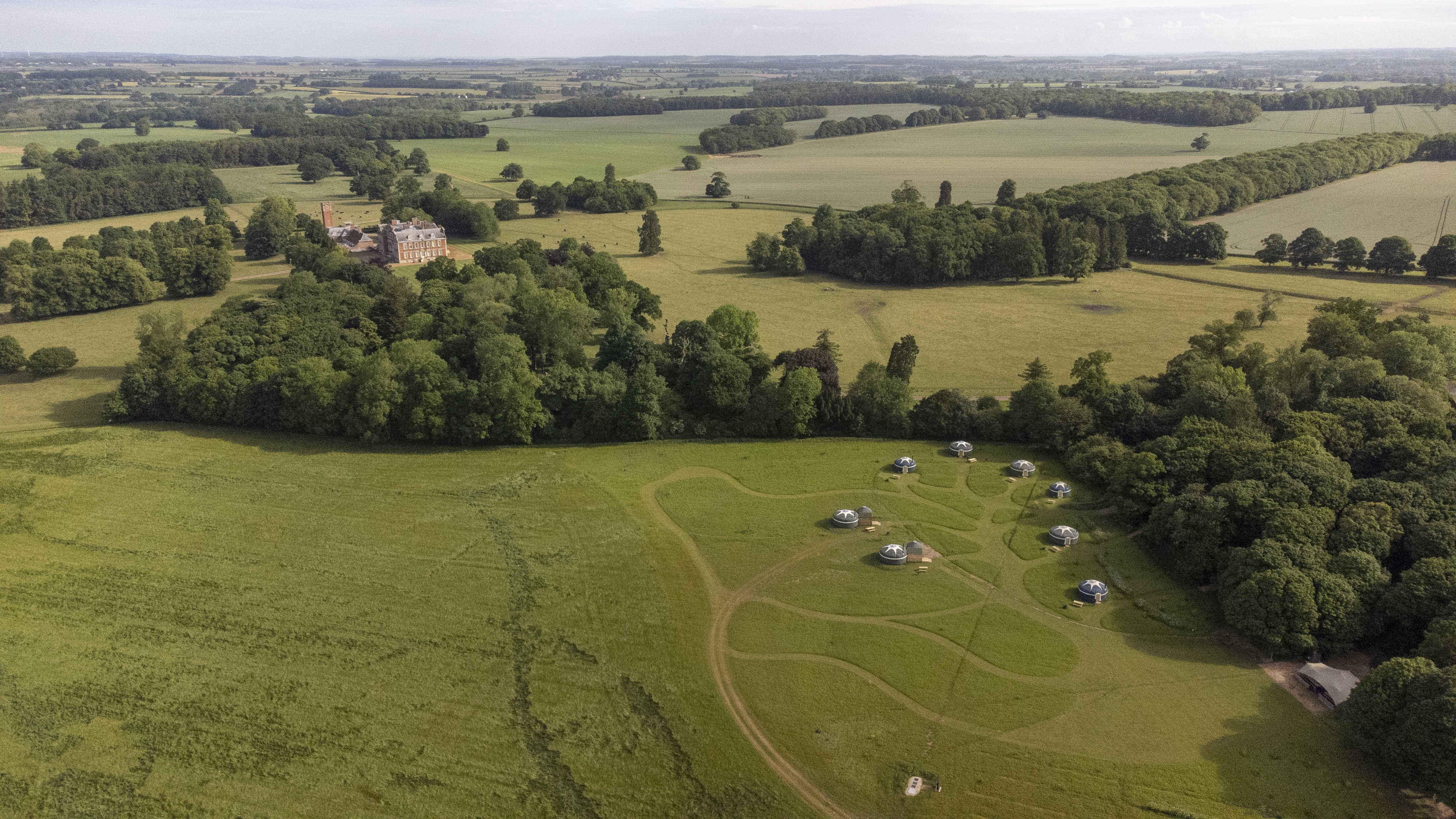 Wild Meadow - abw33mpxpvf.jpeg