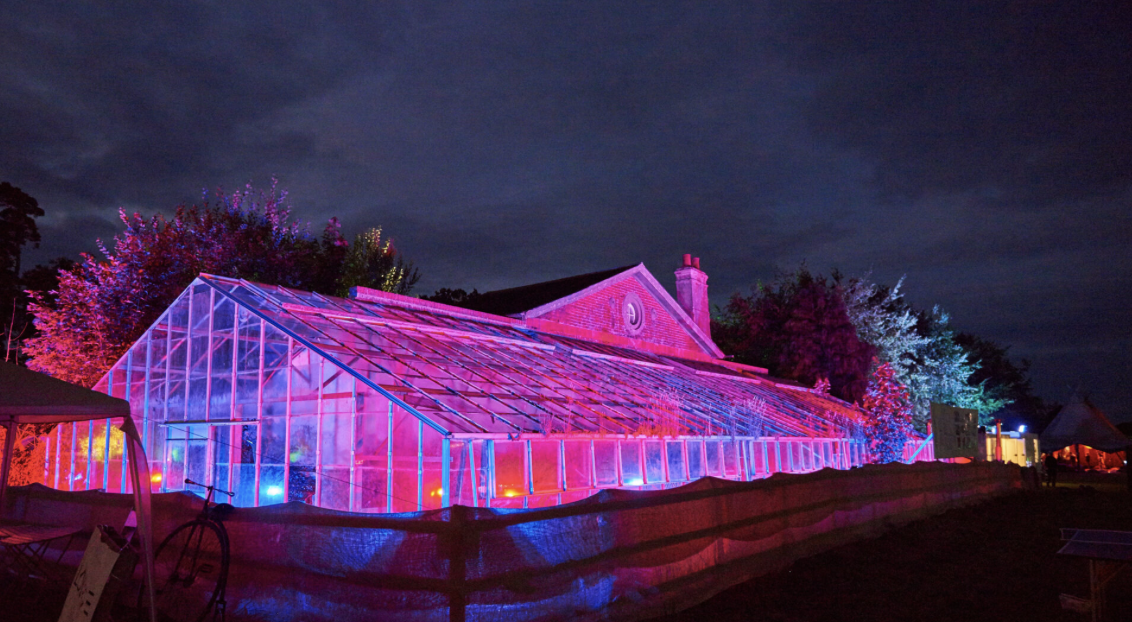 Wild Meadow - xnu3vvzjdl5.png