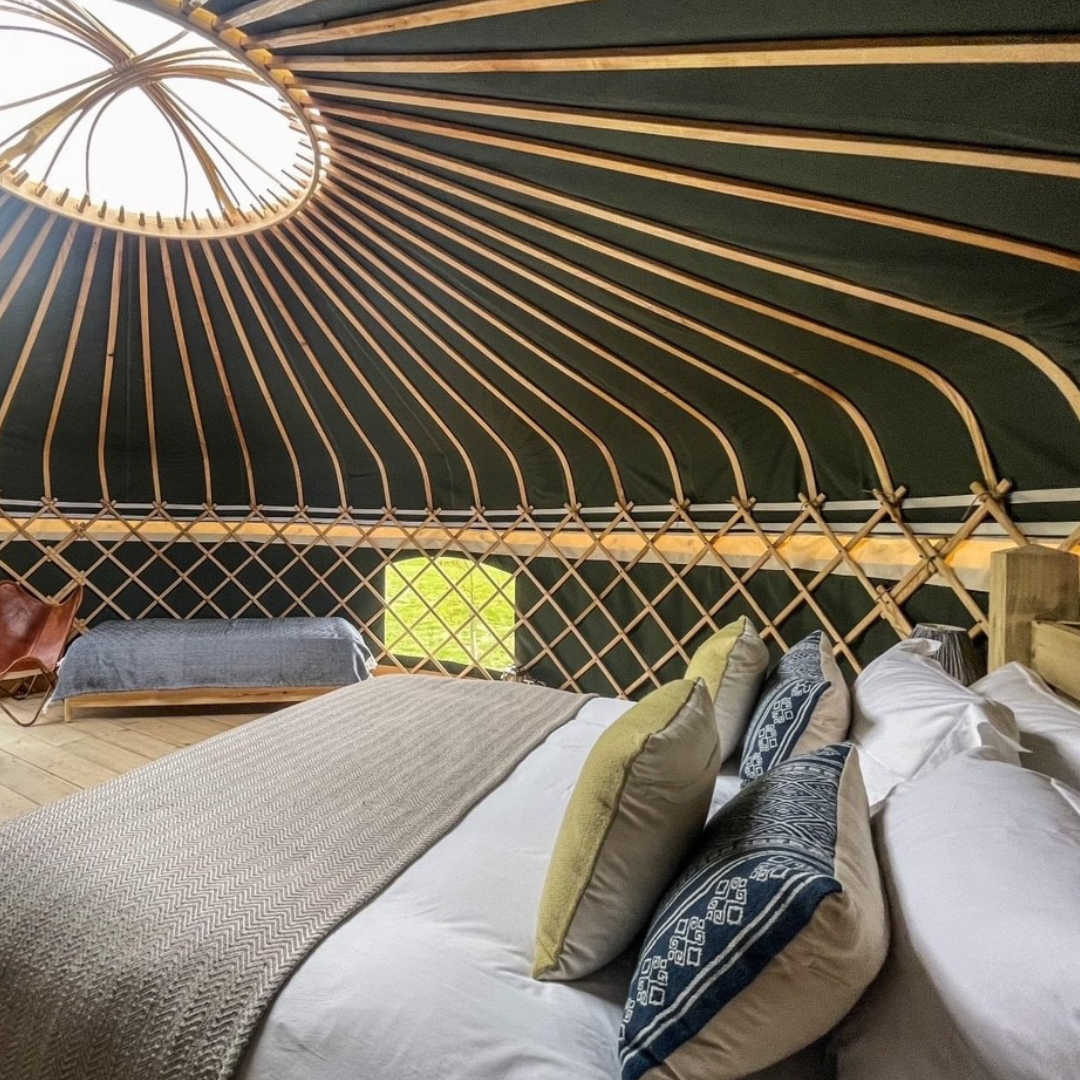 Wild Meadow  - 1u12xojrgkk.png