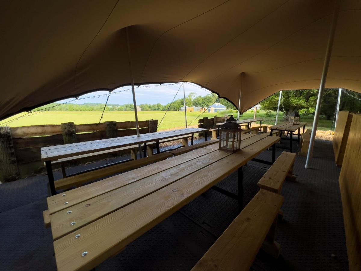 Wild Meadow  - thhykcemfbb.jpg