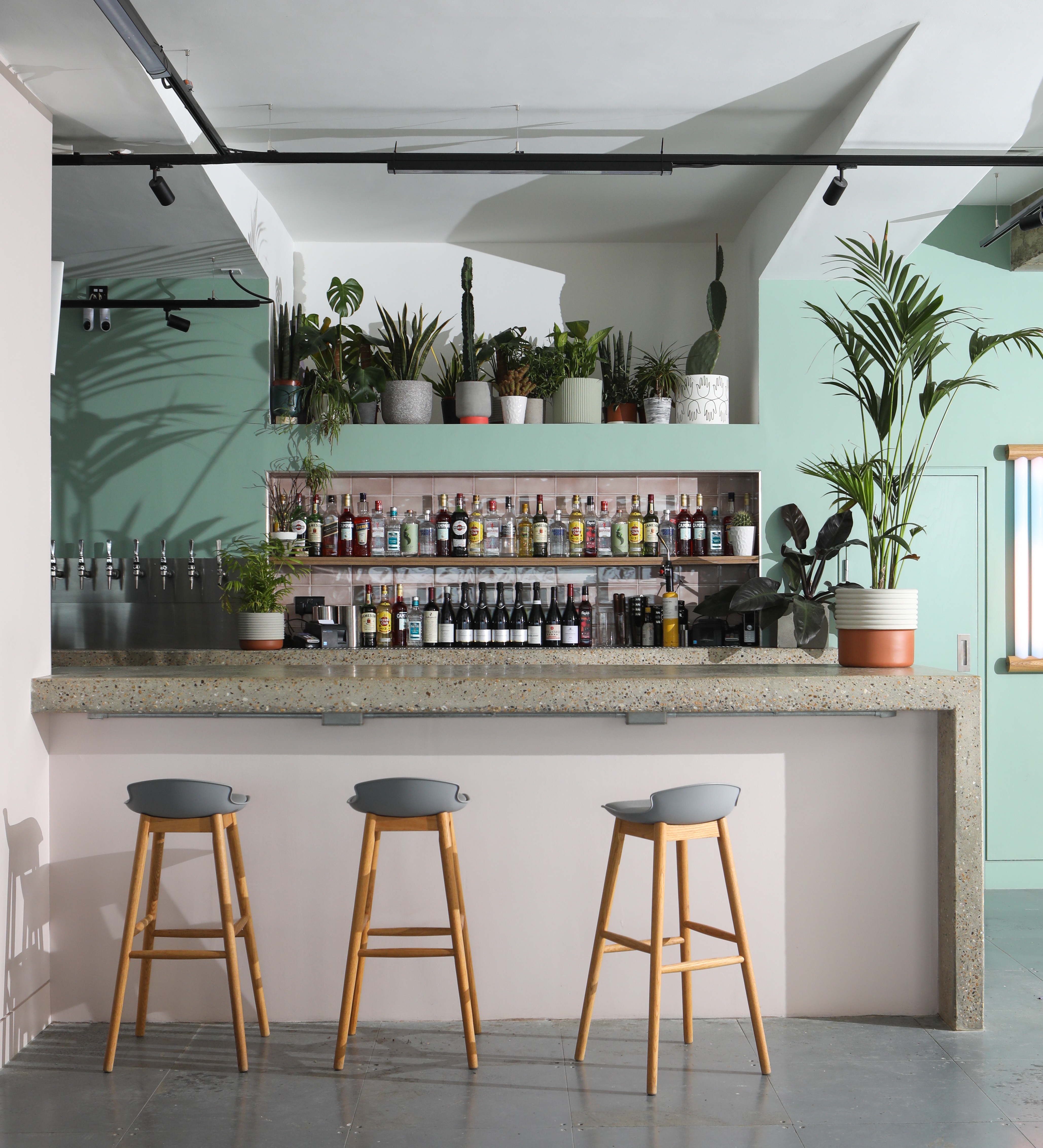 Stylish bar area with greenery, ideal for networking events and social gatherings.