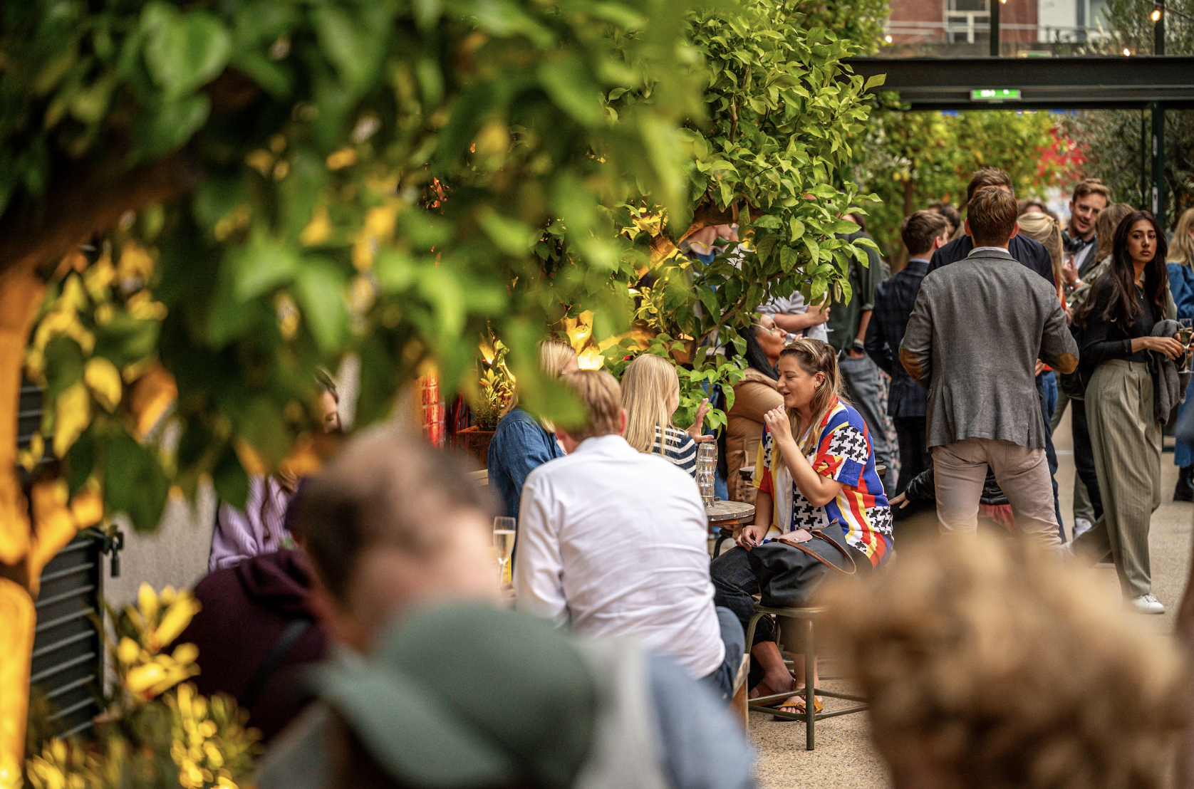 Whole Venue - 0d5vf0wfnel.png