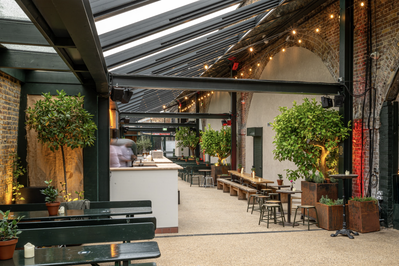 Whole Venue - molisikfdee.png