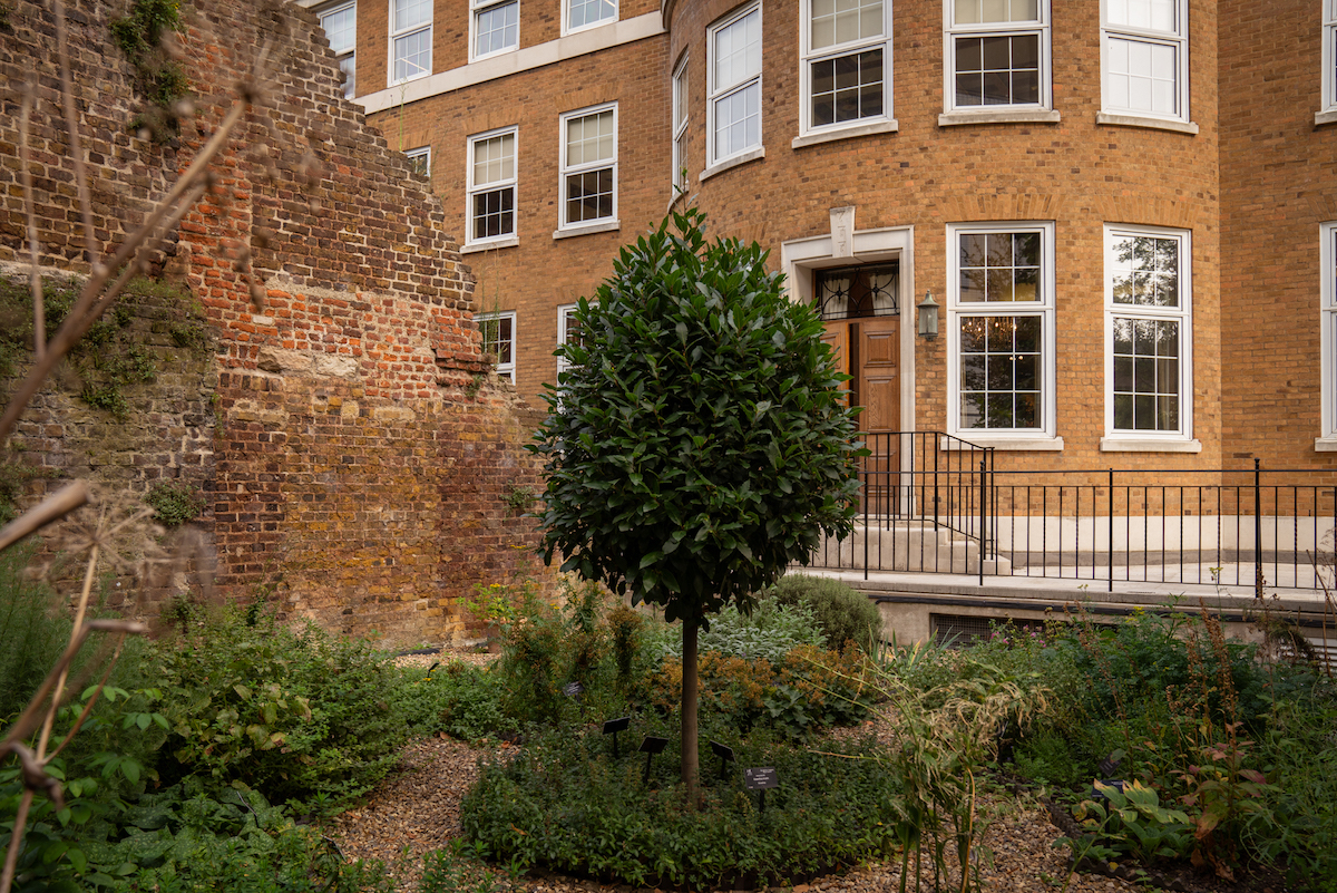 Charming garden venue at Barber-Surgeons’ Hall for intimate events and receptions.