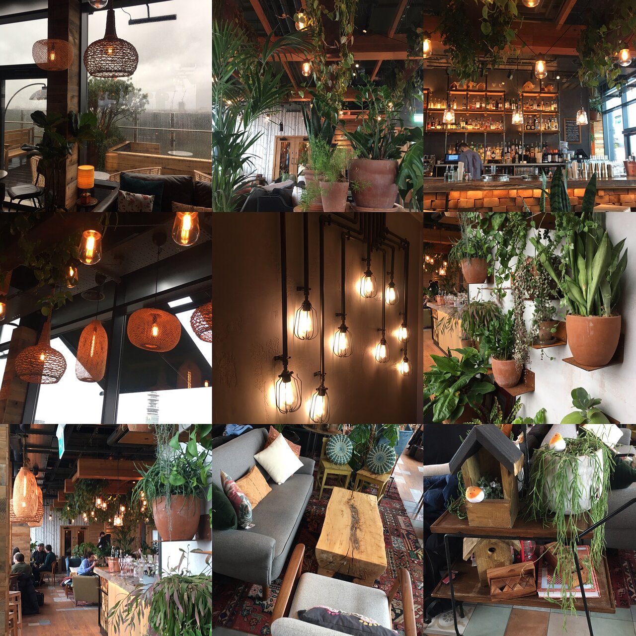 The Nest - 759711a0-10b9-4d08-b169-617e04160b73.jpeg