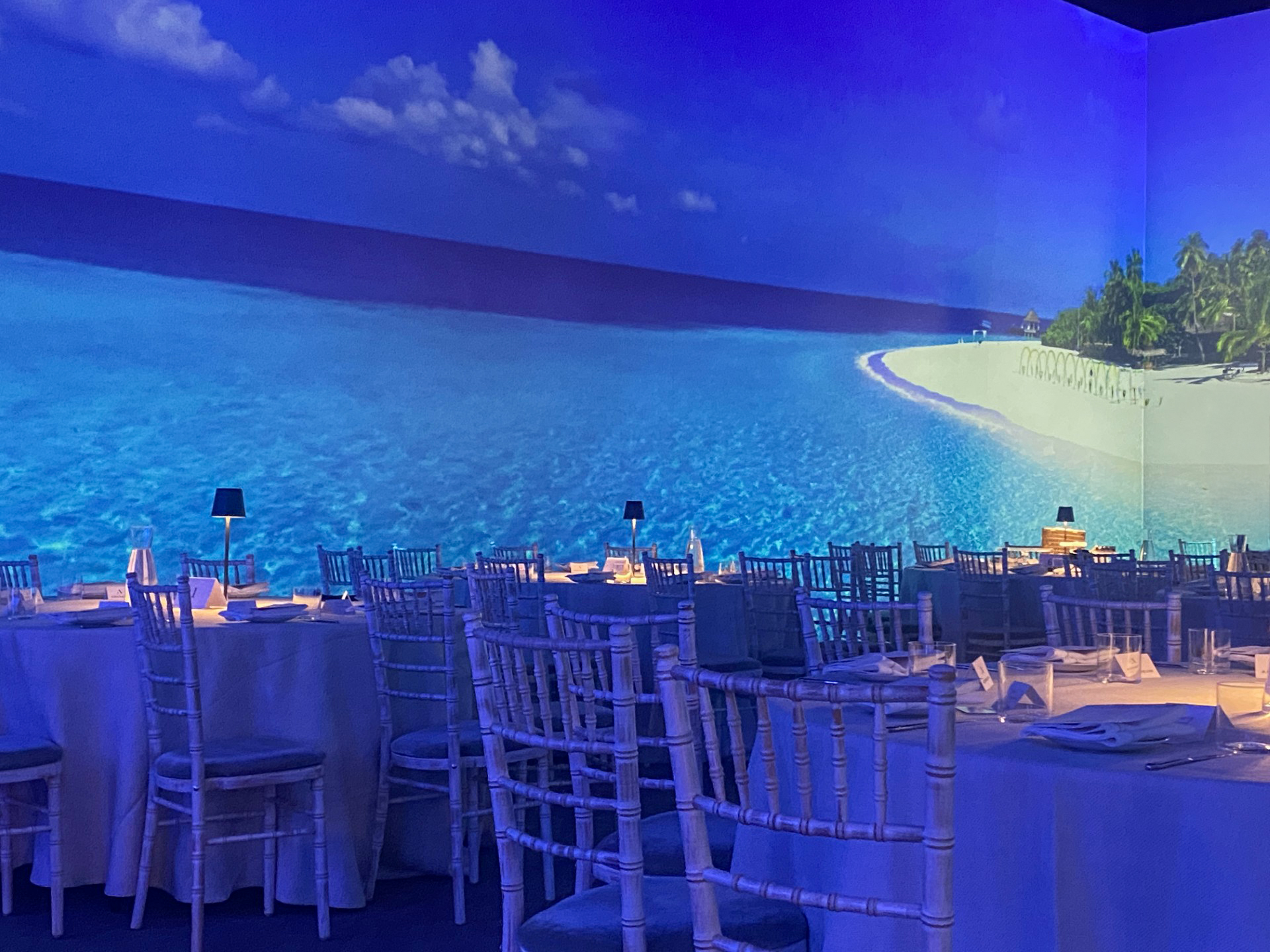 Blank Canvas - 44e11e14-e353-4589-9823-04d62ef6e2d3.jpg