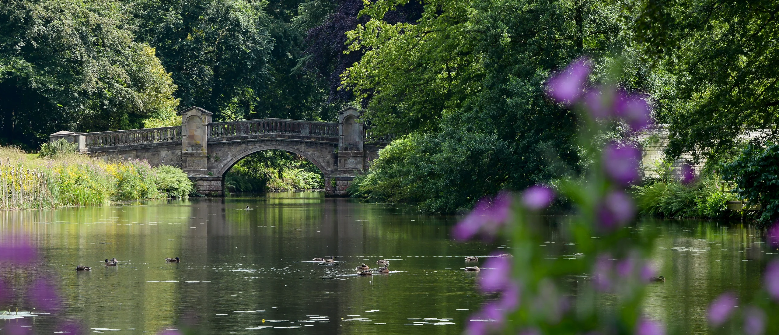 Outdoor celebrations at Weston Park with a scenic bridge and vibrant flowers.
