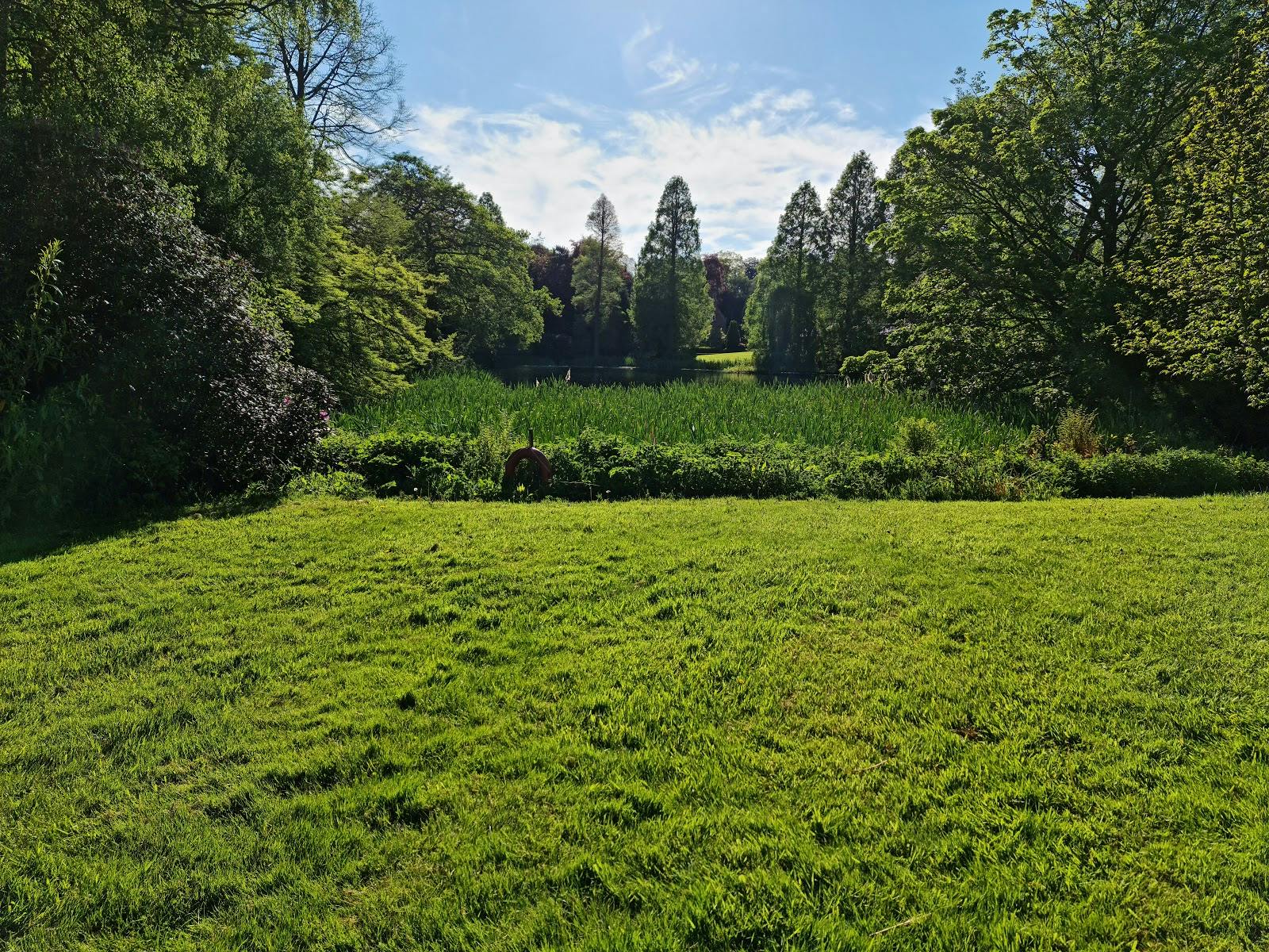 Outdoor celebrations in Weston Park with lush green lawn and serene natural backdrop.