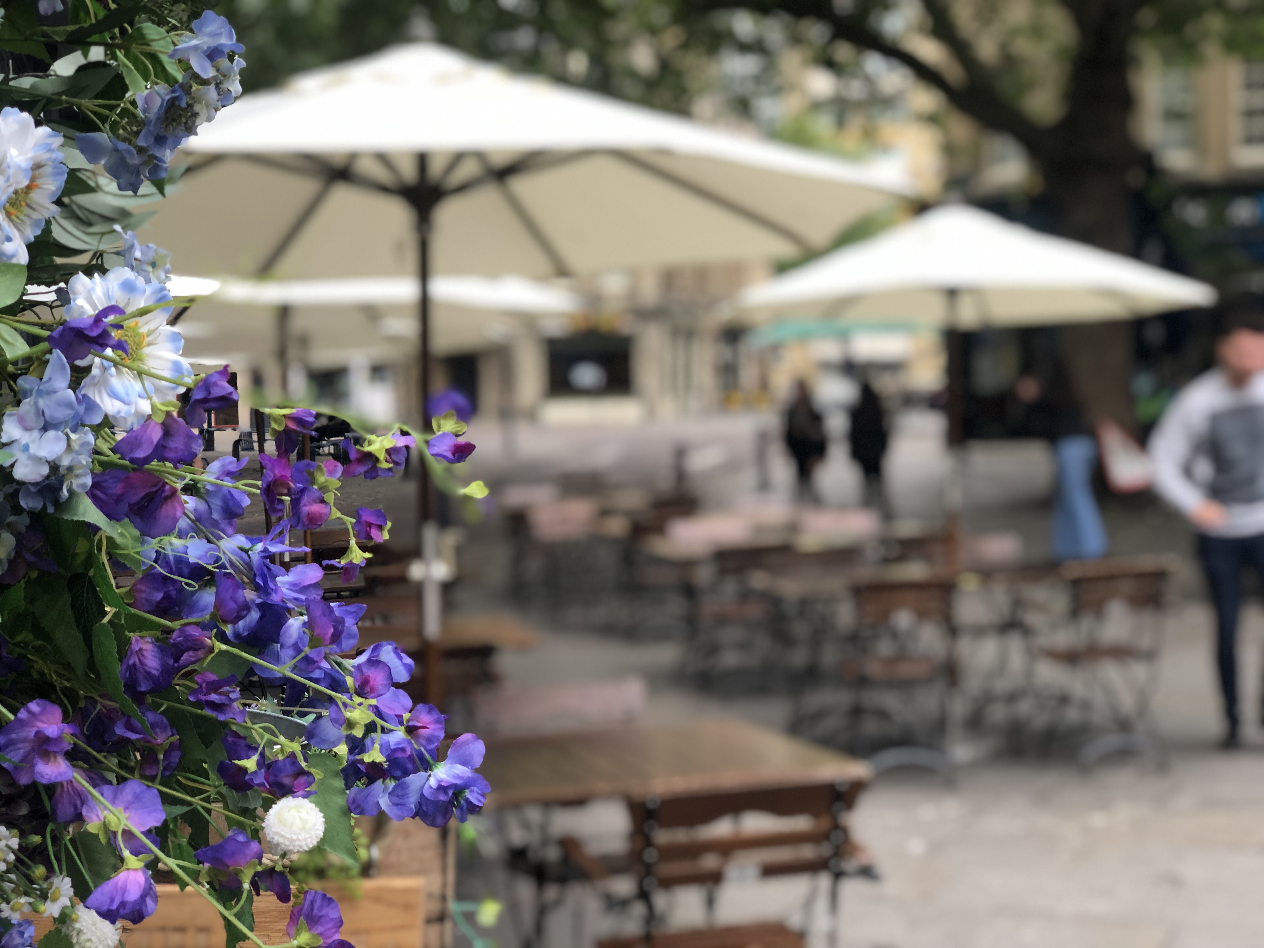Charming outdoor venue with floral decor for events at The Bath Stable.