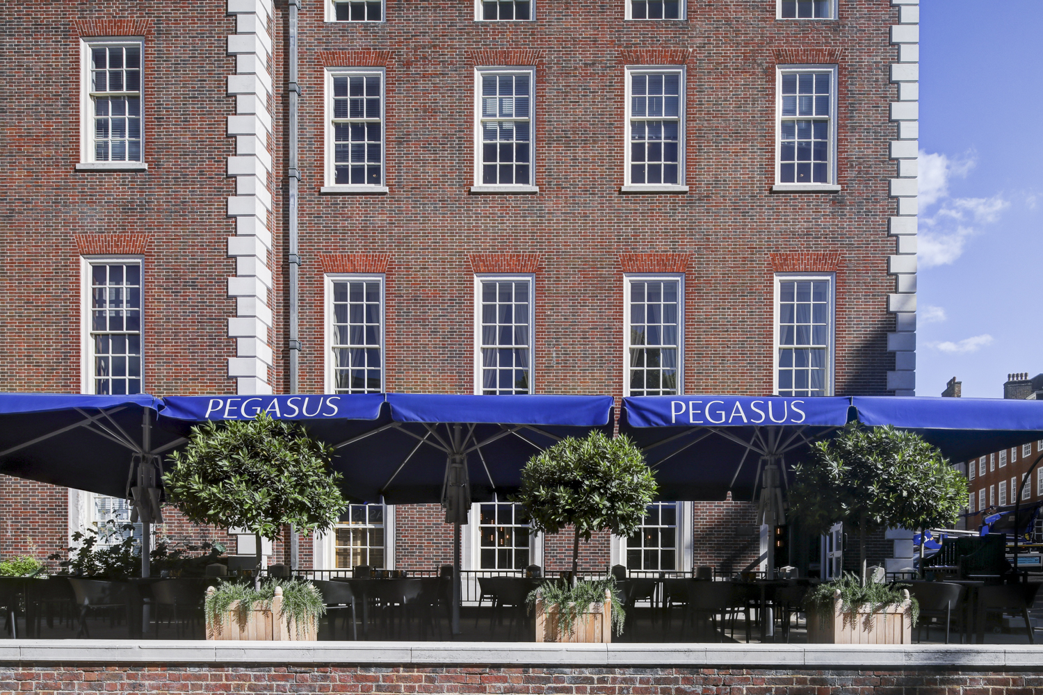 Outdoor venue at Pegasus Bar, blue awnings, ideal for summer social events and meetings.