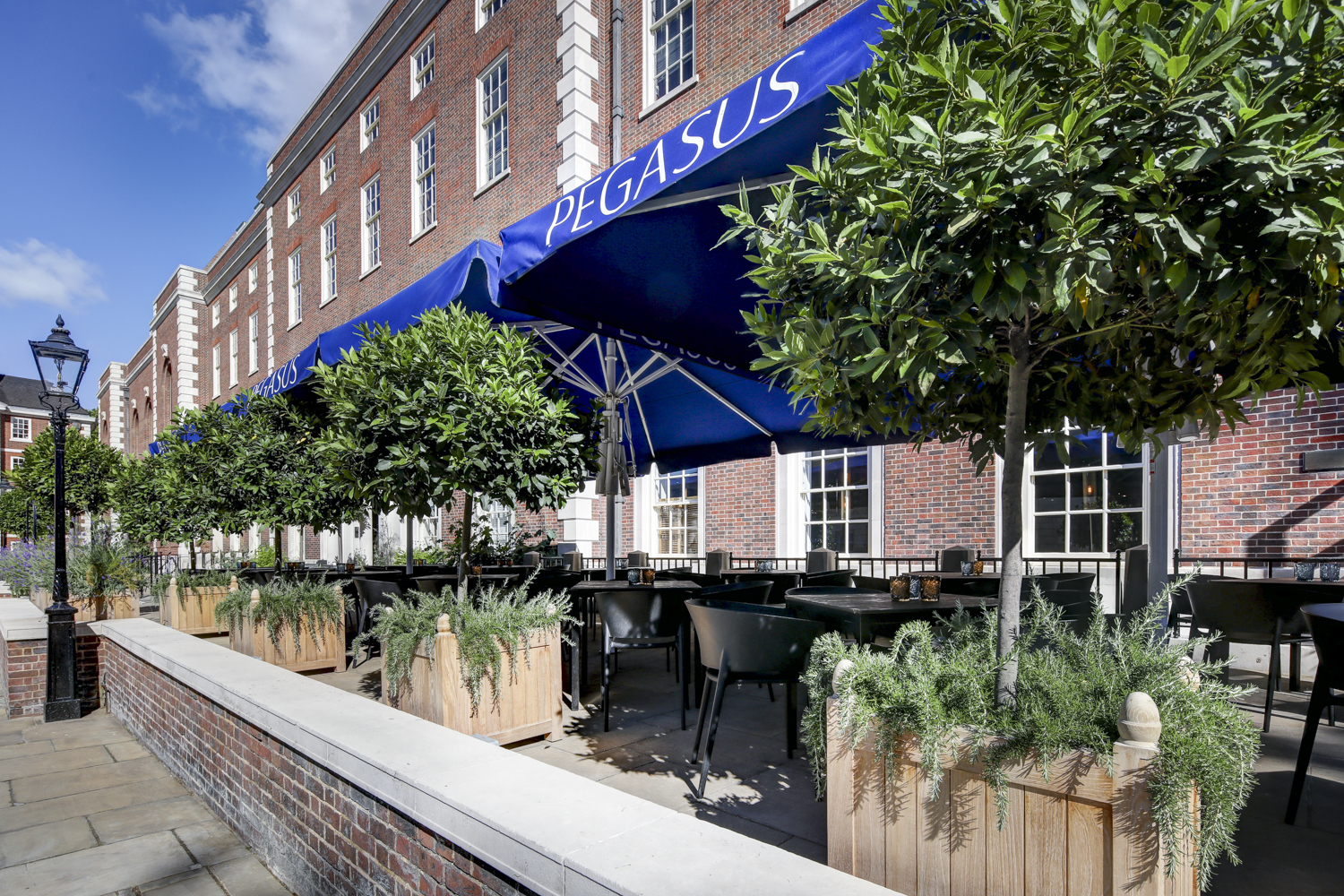 Outdoor venue at Pegasus Bar, featuring stylish seating and lush greenery for events.
